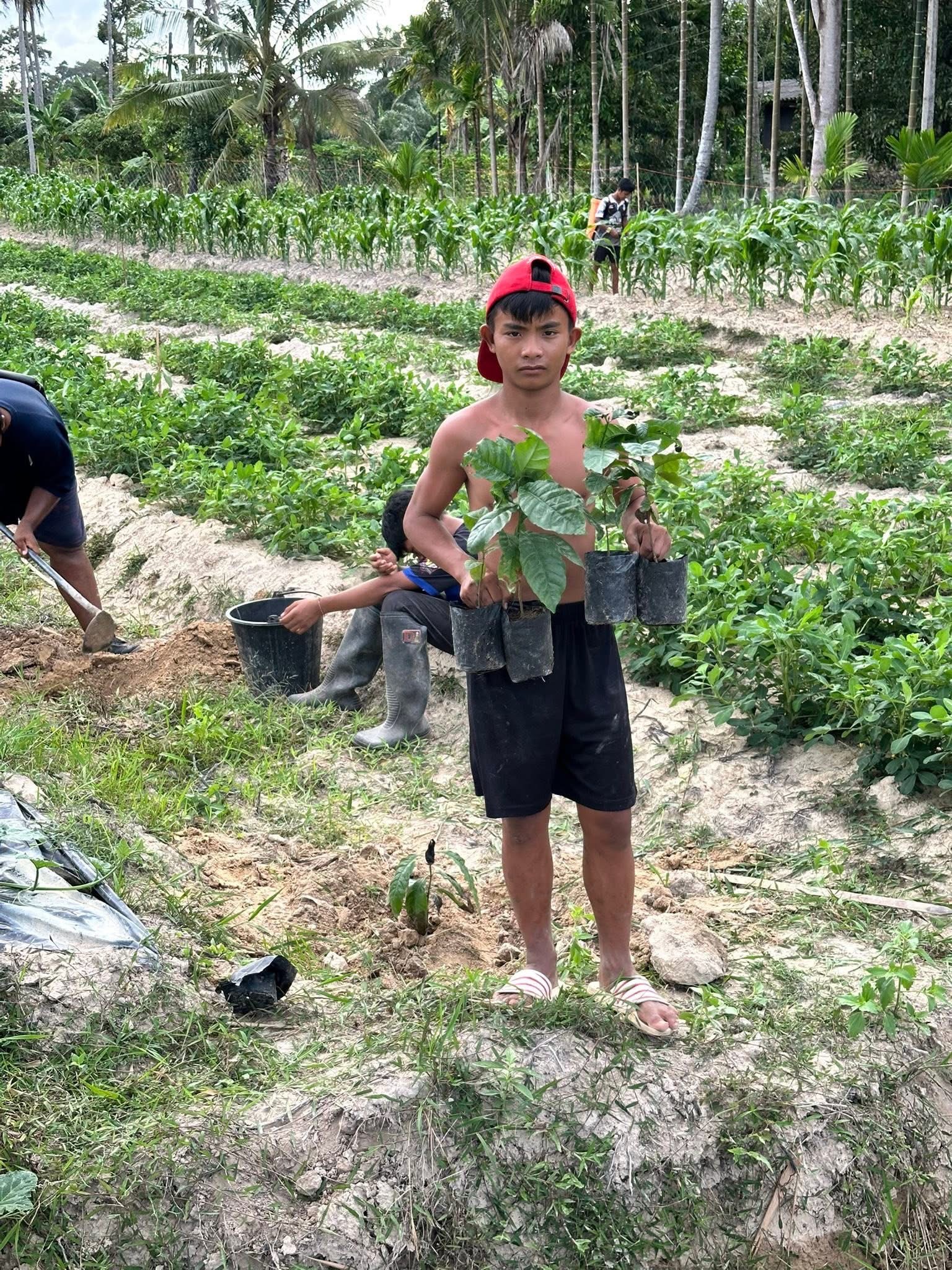 Help is needed for an orphanage in Southern Thailand campaign photo, 6 of 8