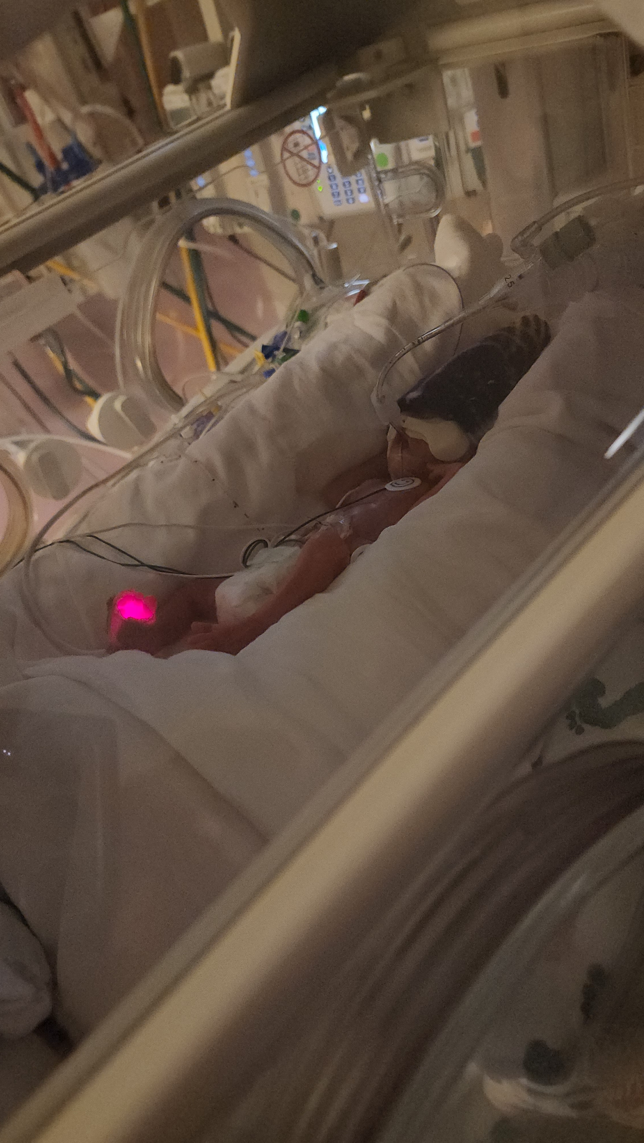 Help Cover Funeral Expenses for Baby Leilianna campaign photo, 5 of 6