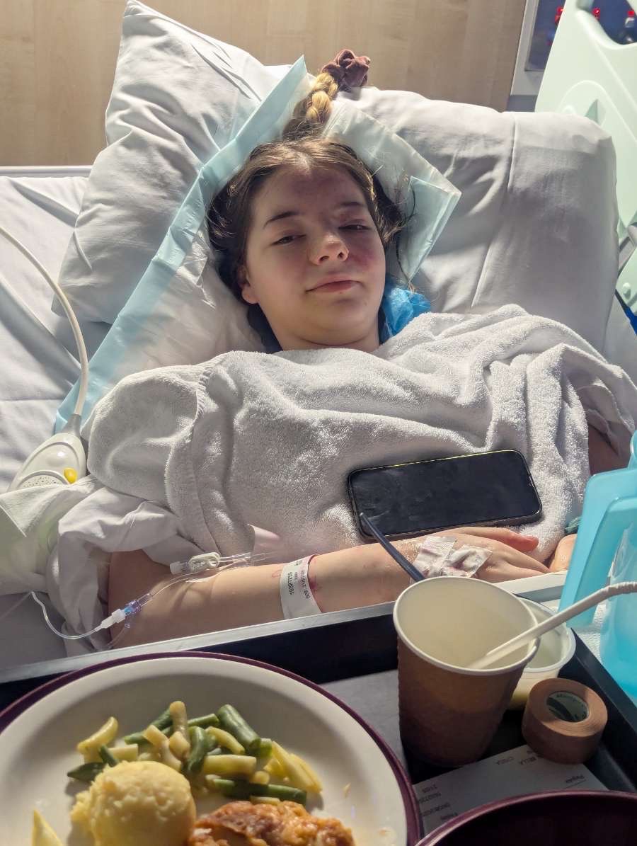 Help Bella recover from a traumatic injury campaign photo, 2 of 8