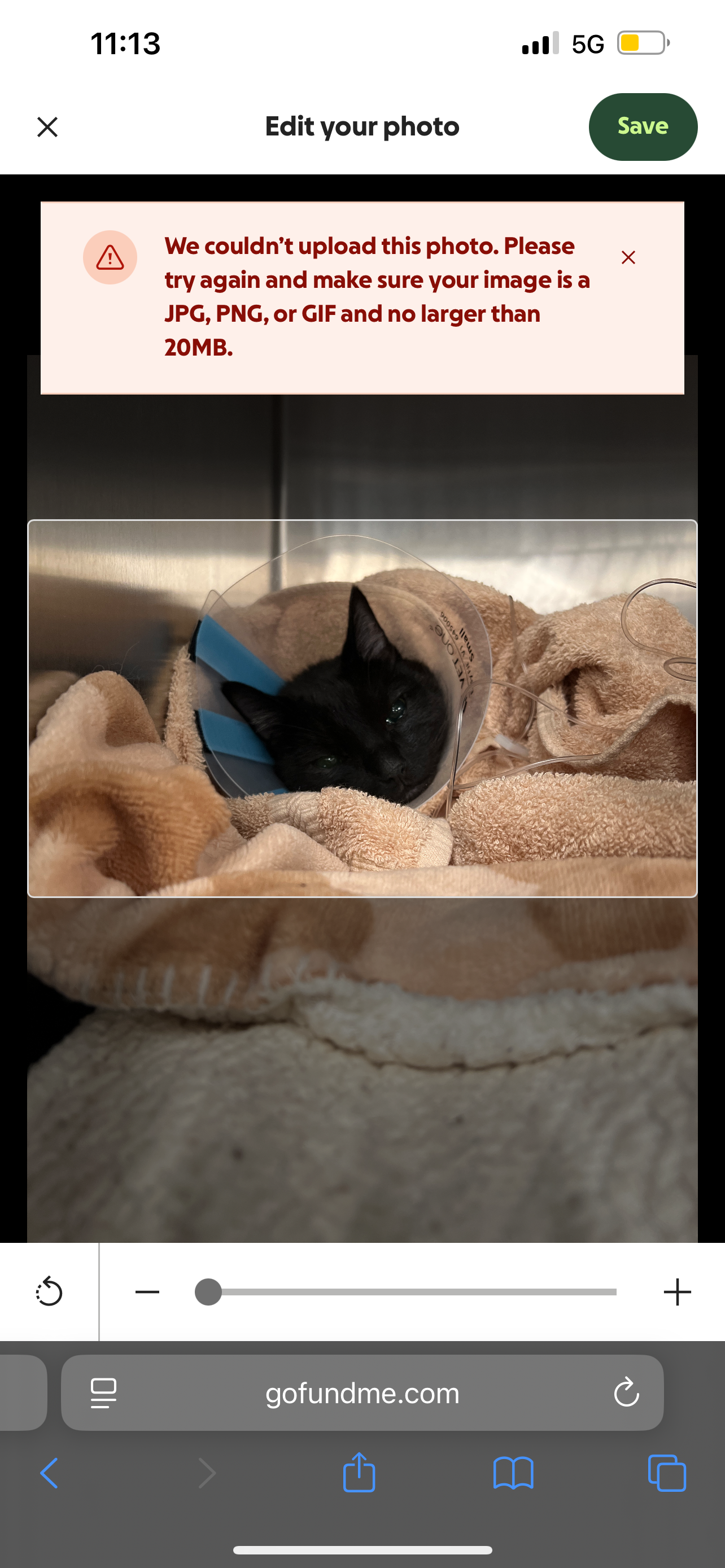 Louie's Urgent Surgery Fund campaign photo, 7 of 8