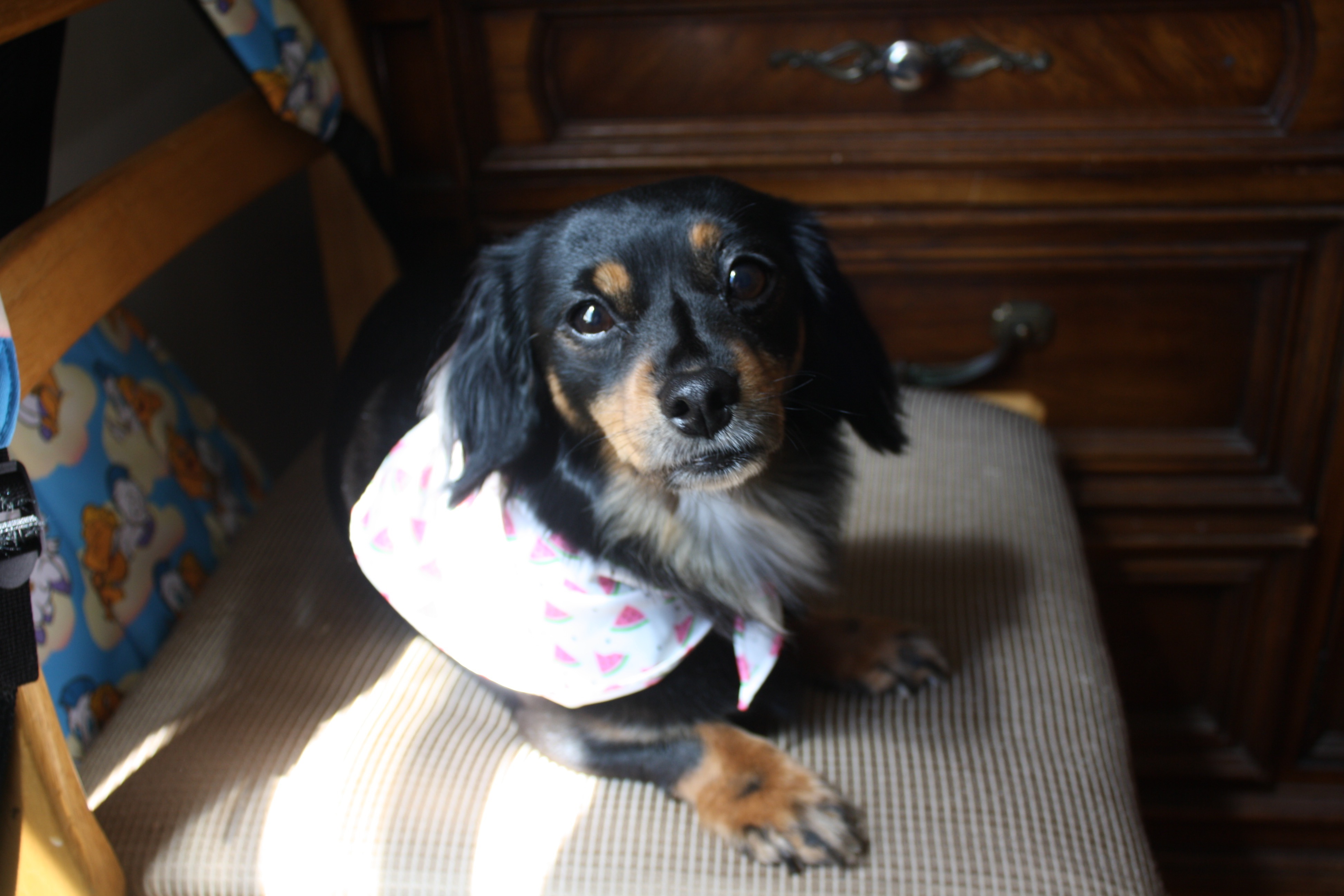 Support Hope's Life-Saving Surgery campaign photo, 5 of 6