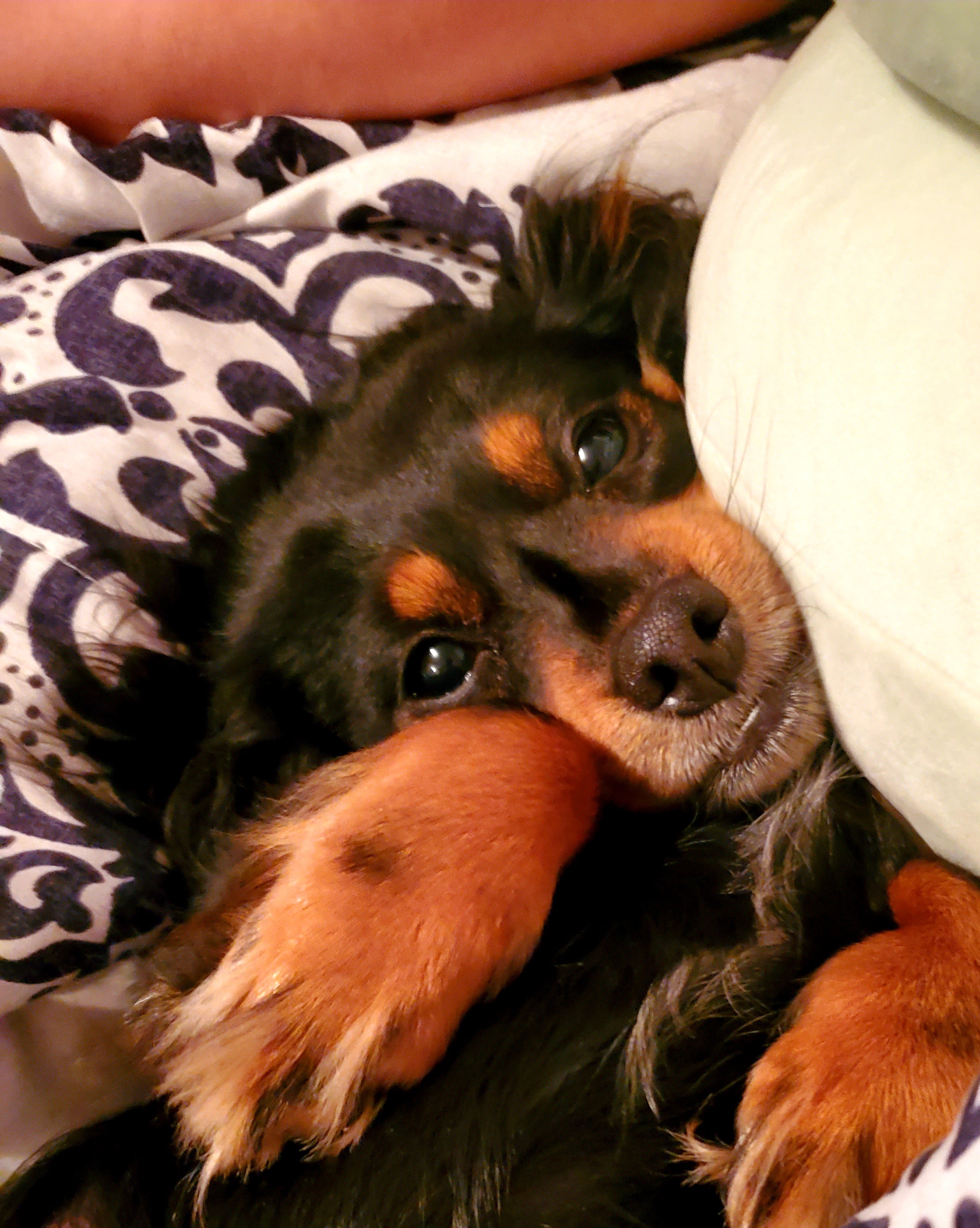 Support Hope's Life-Saving Surgery campaign photo, 4 of 6