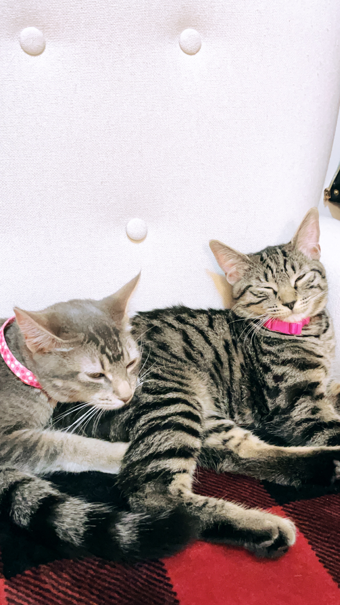 Moshe's Urgent Surgery: Your Help Counts campaign photo, 2 of 8