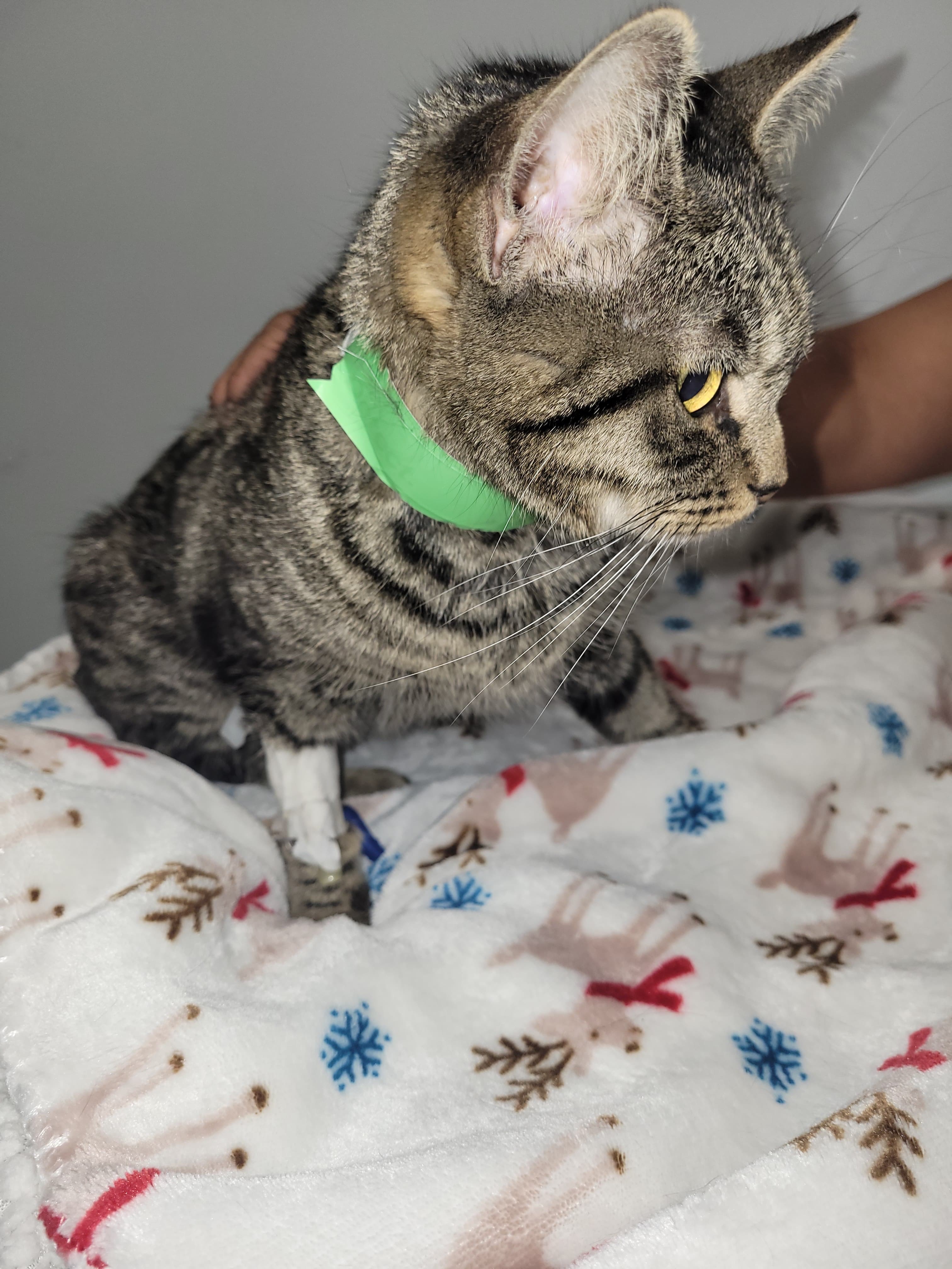 Moshe's Urgent Surgery: Your Help Counts campaign photo, 4 of 8