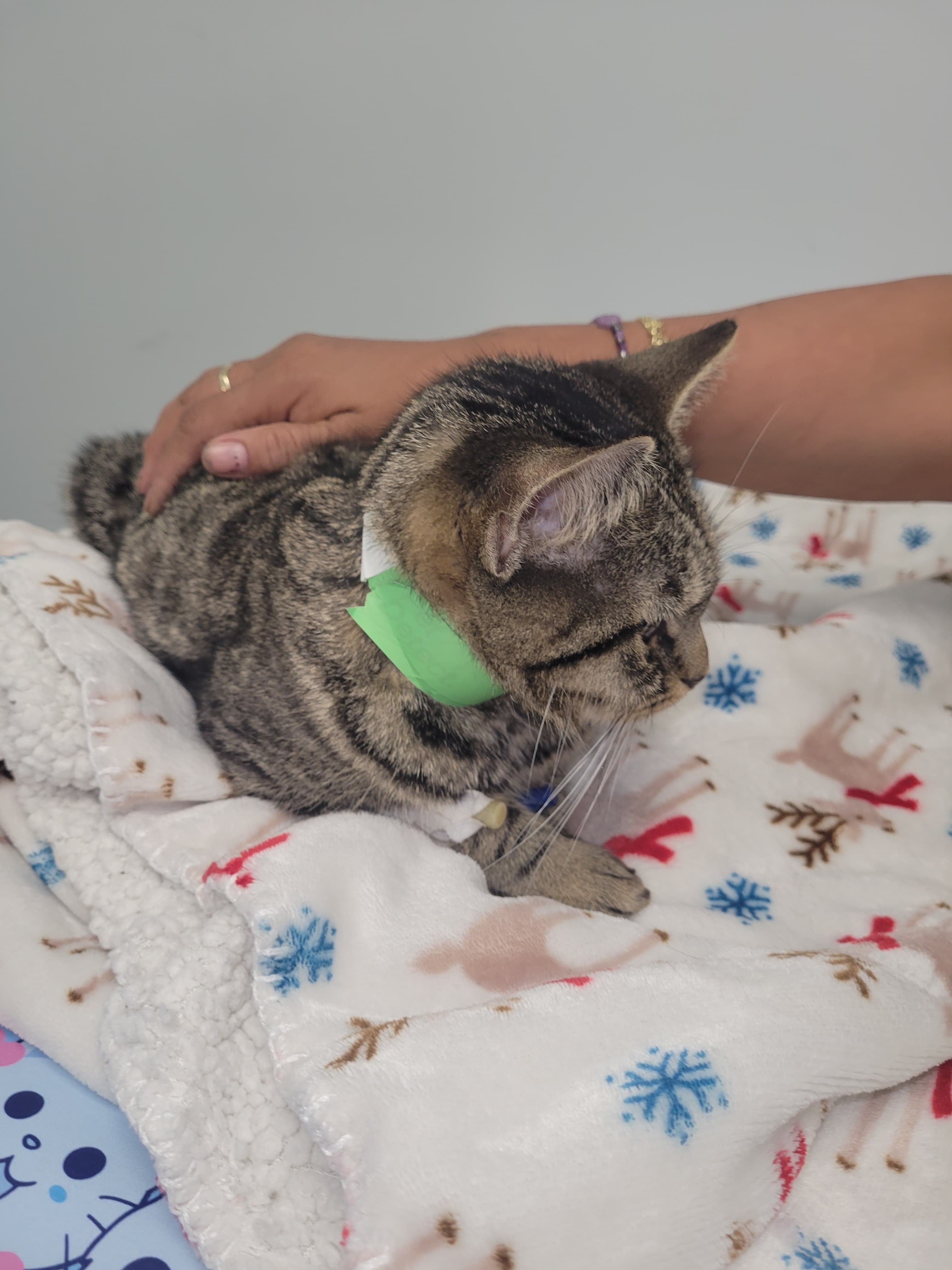Moshe's Urgent Surgery: Your Help Counts campaign photo, 5 of 8