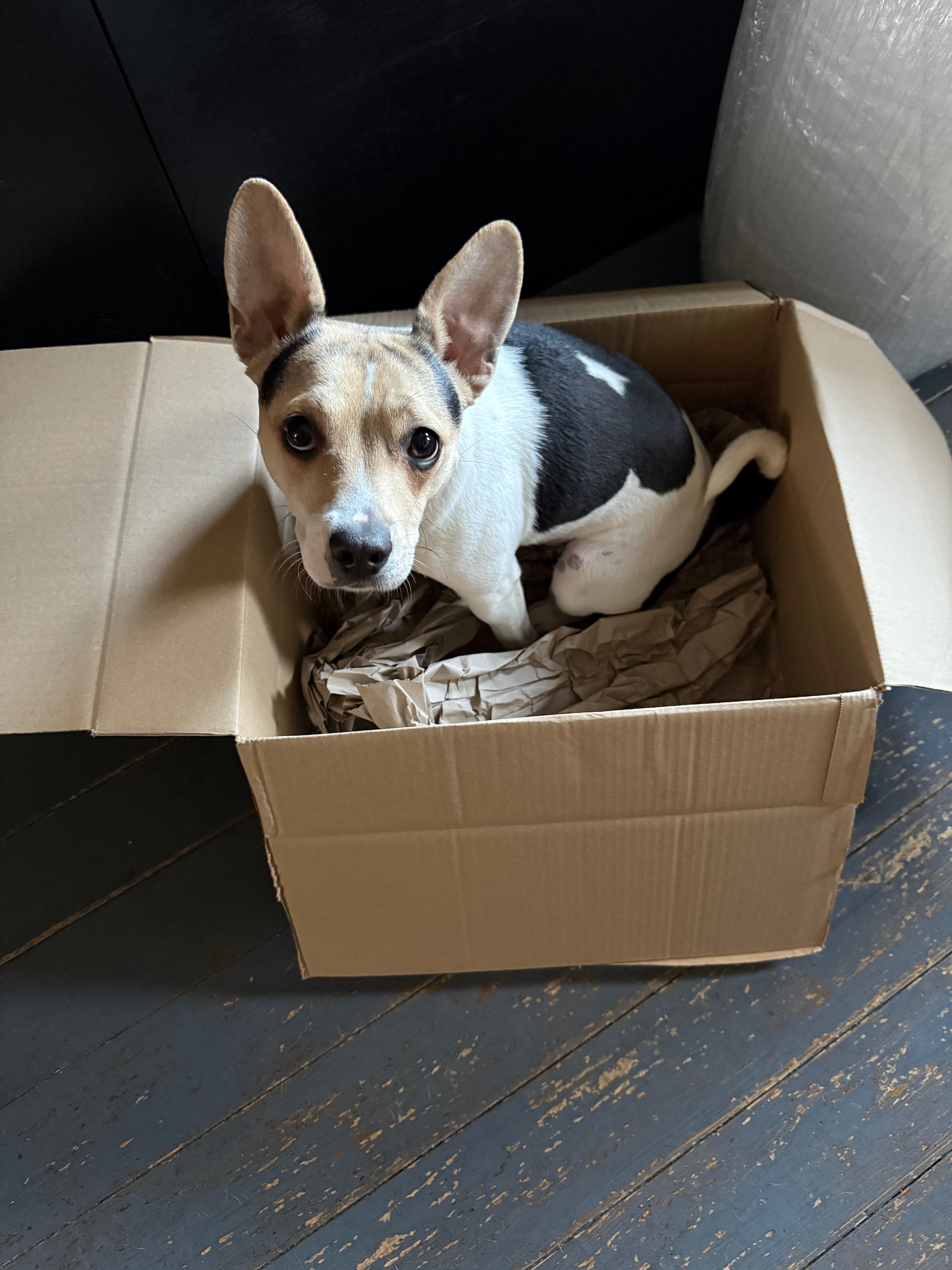 Little Toph needs your help campaign photo, 2 of 4