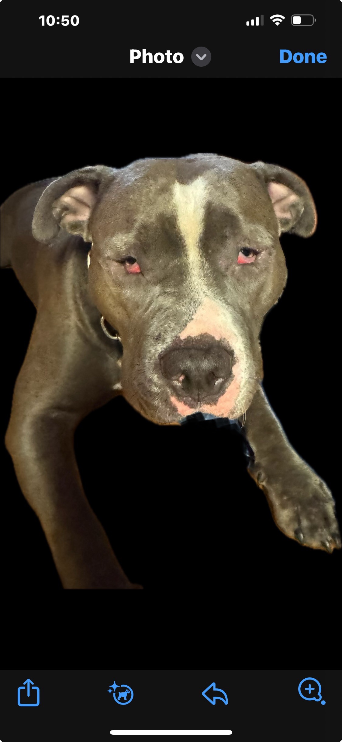 Help Lola Save Her Sight campaign photo, 2 of 4