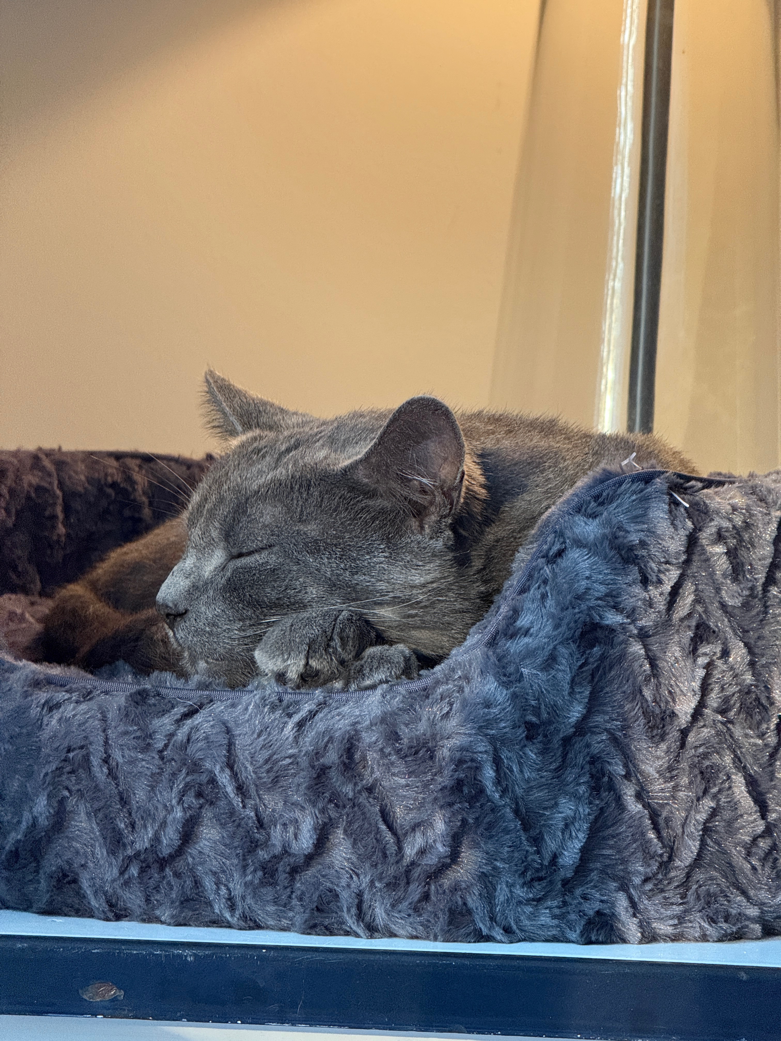 User-uploaded image 1