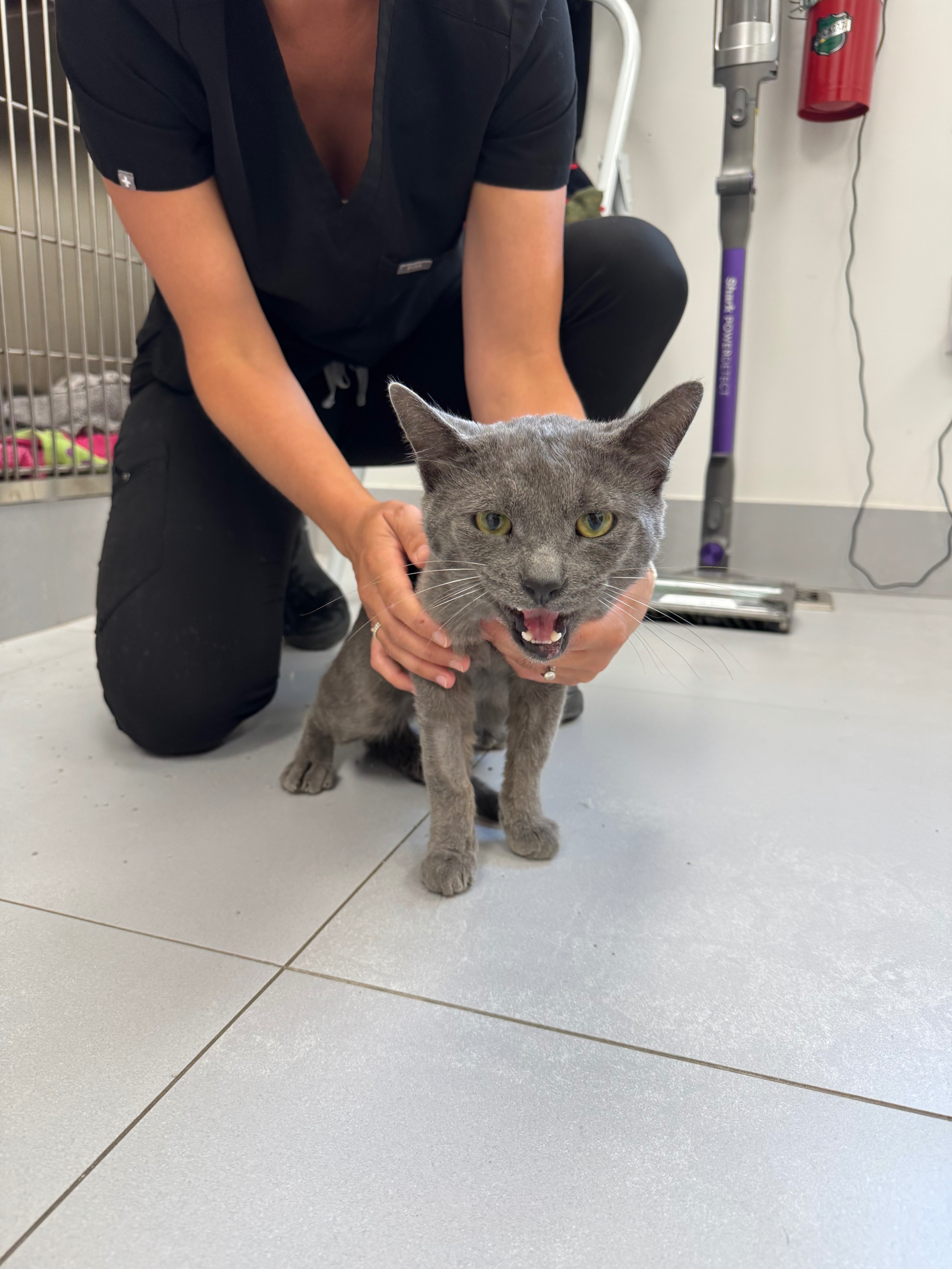 User-uploaded image 2