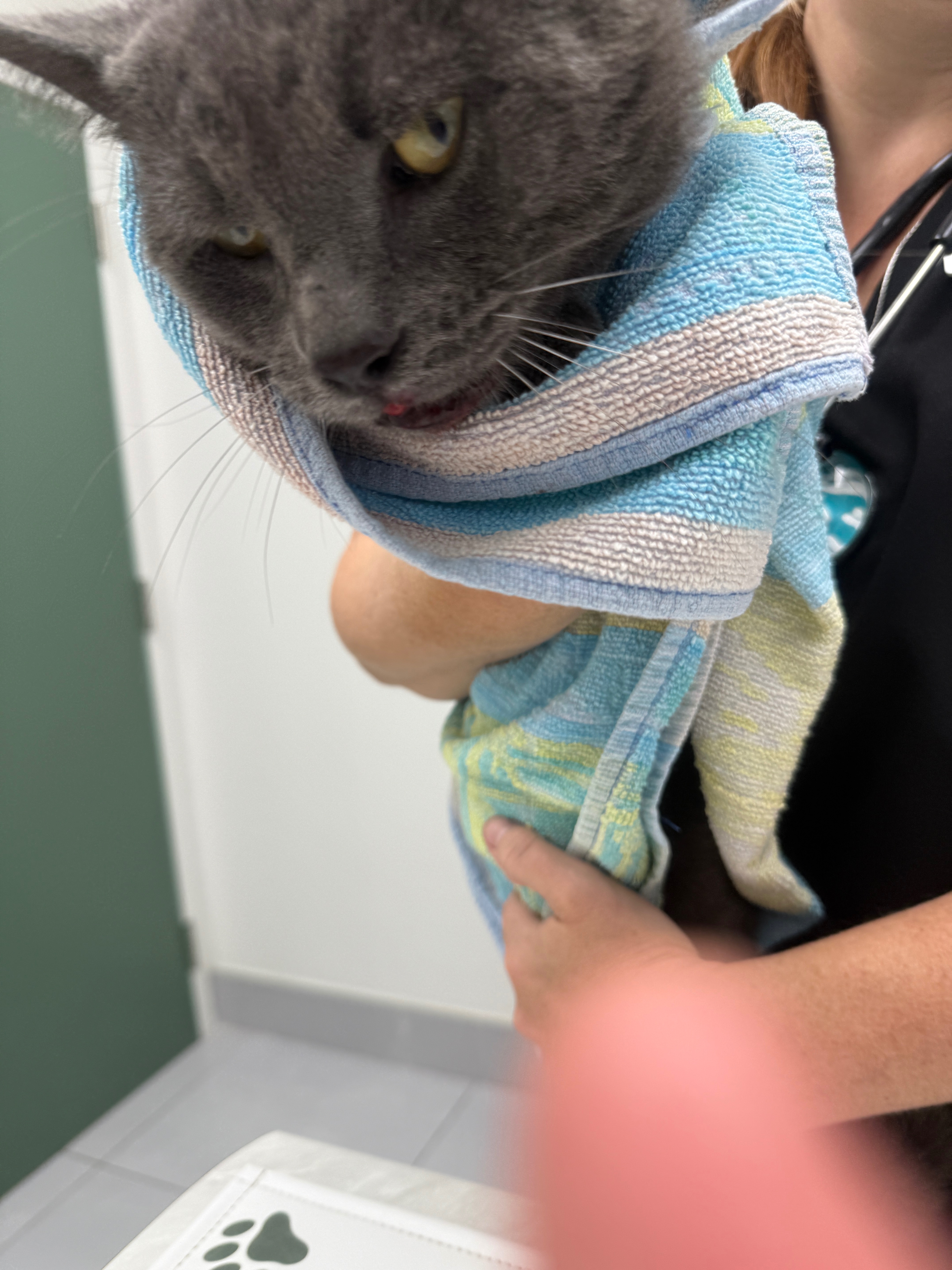 User-uploaded image 3