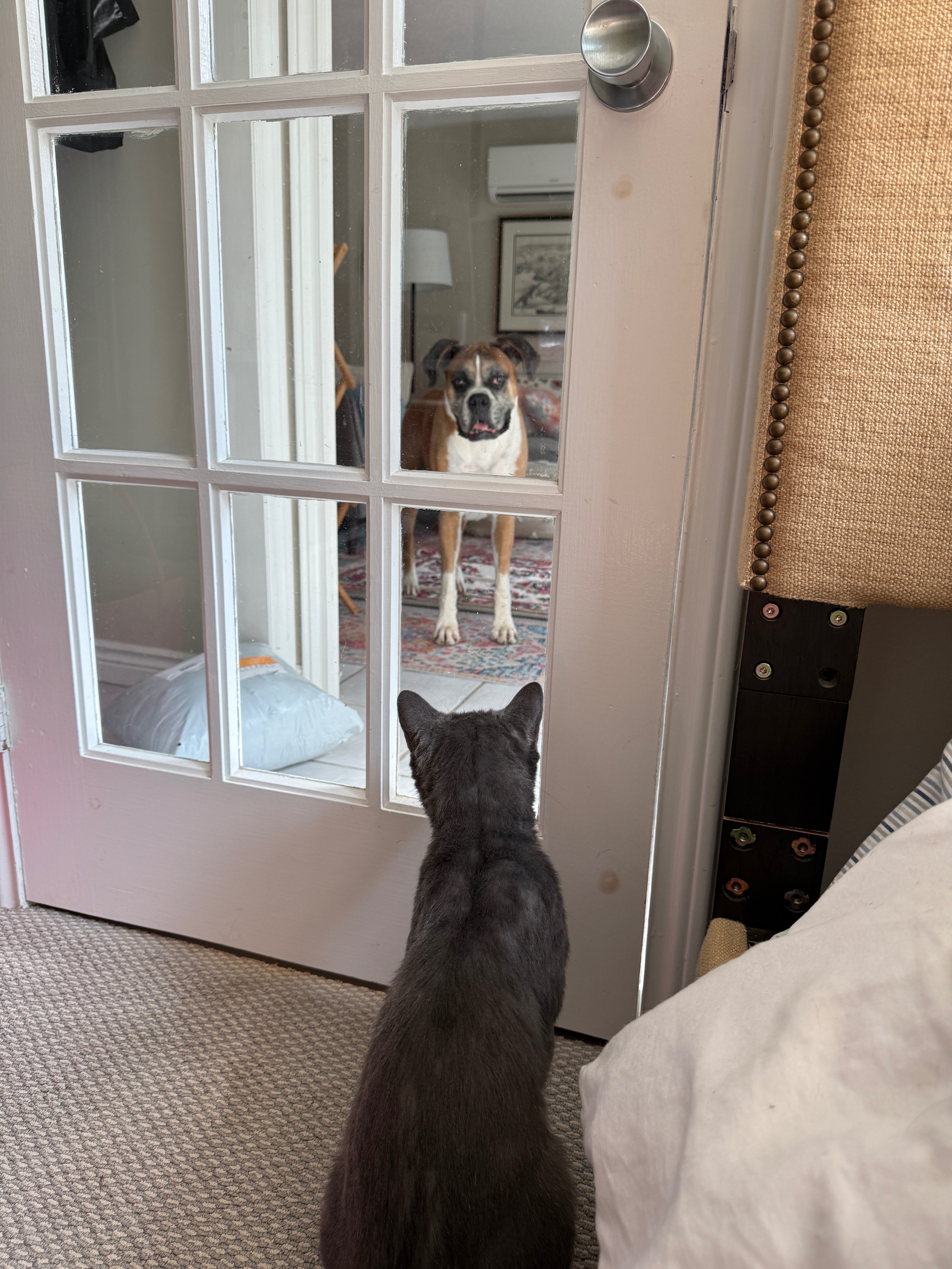 User-uploaded image 4