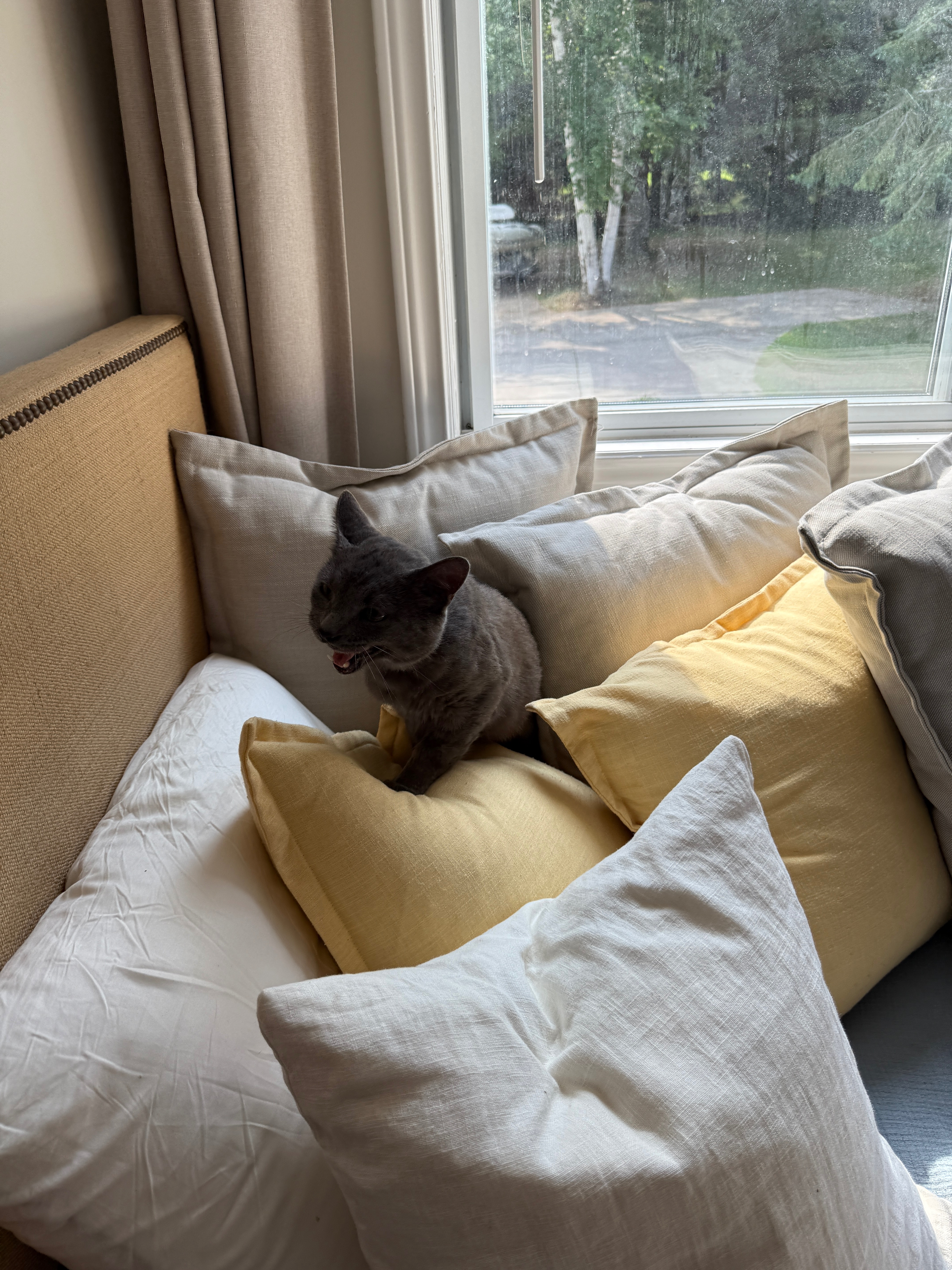 User-uploaded image 5