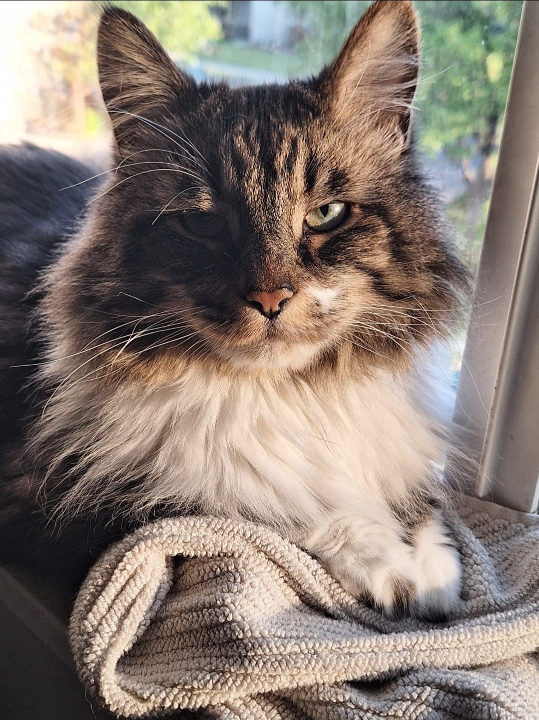 Munchy's Heart Murmurs Need Urgent Attention! ❤️ campaign photo, 2 of 8