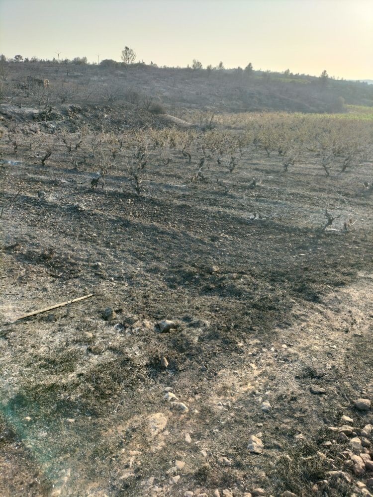 Help Rebuild Dom. des Deux Clés After Devastating Wildfire campaign photo, 4 of 8