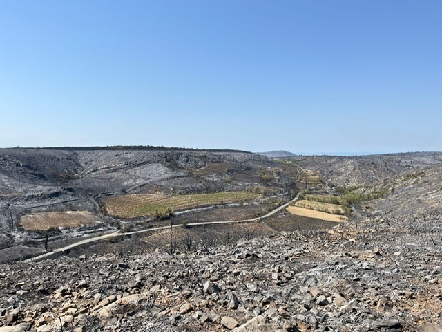 Help Rebuild Dom. des Deux Clés After Devastating Wildfire campaign photo, 6 of 8