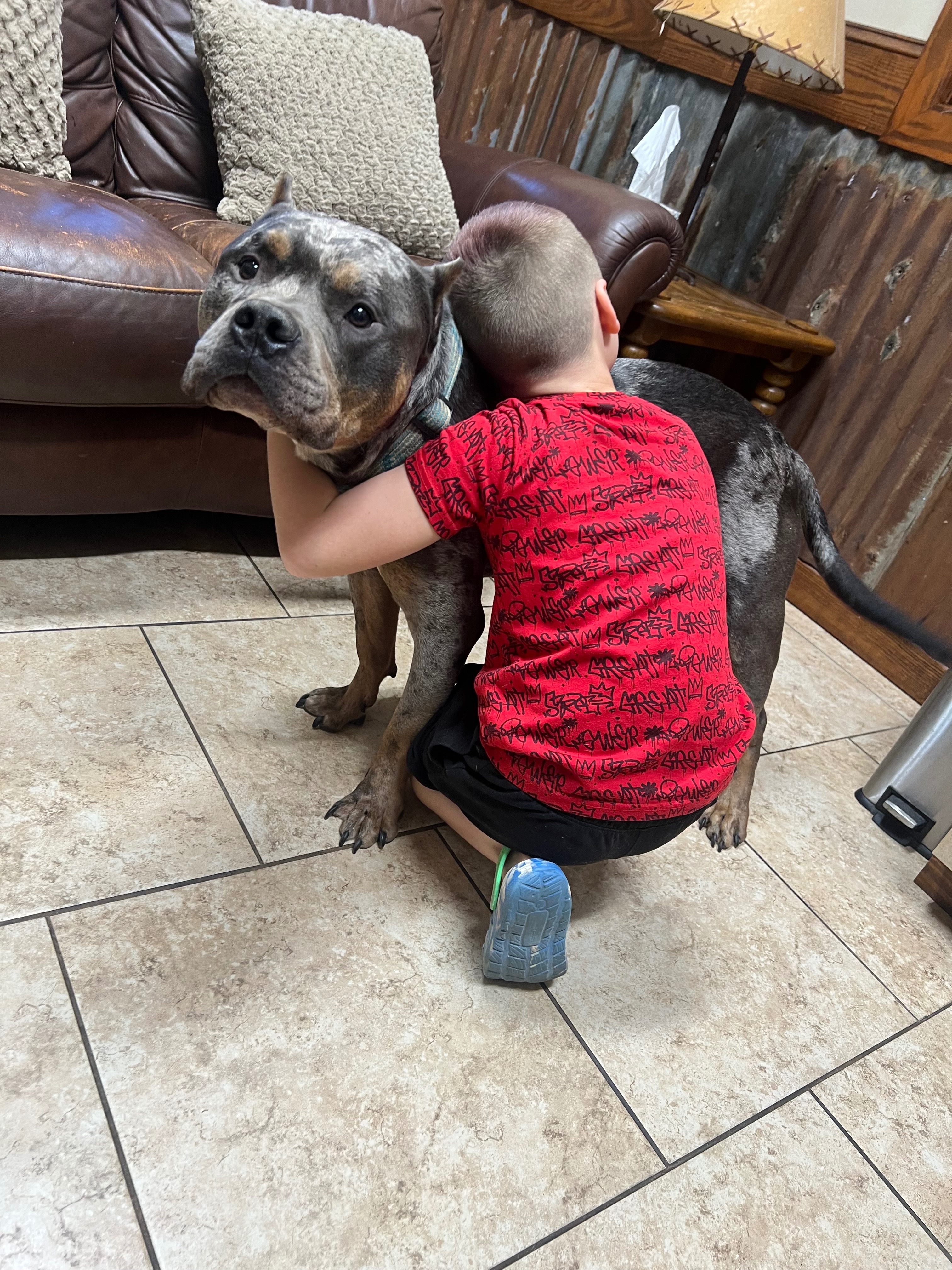 Support Steel's Surgery and Save a Best Friend campaign photo, 2 of 3