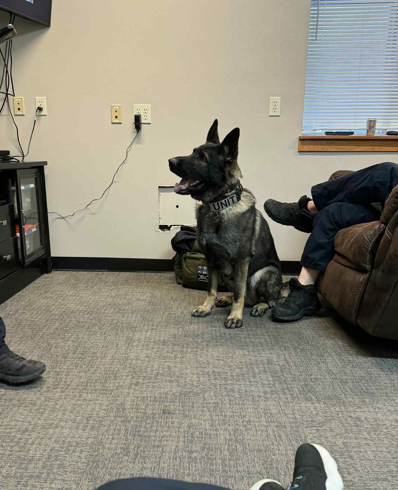 Support Retired K9 Caesar's Medical Costs campaign photo, 6 of 7
