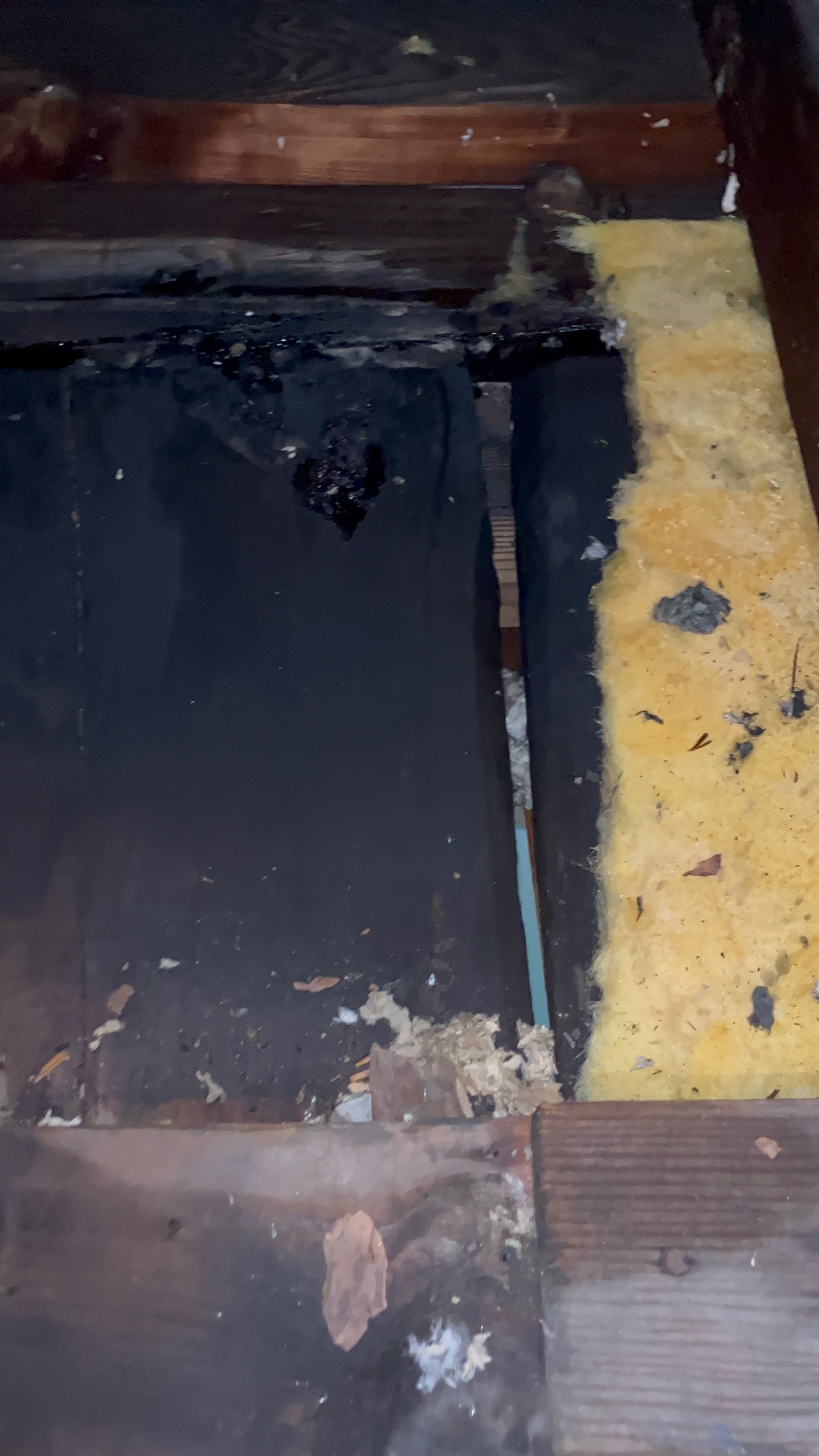Urgent Help Needed for Teacher's Damaged Home campaign photo, 2 of 5