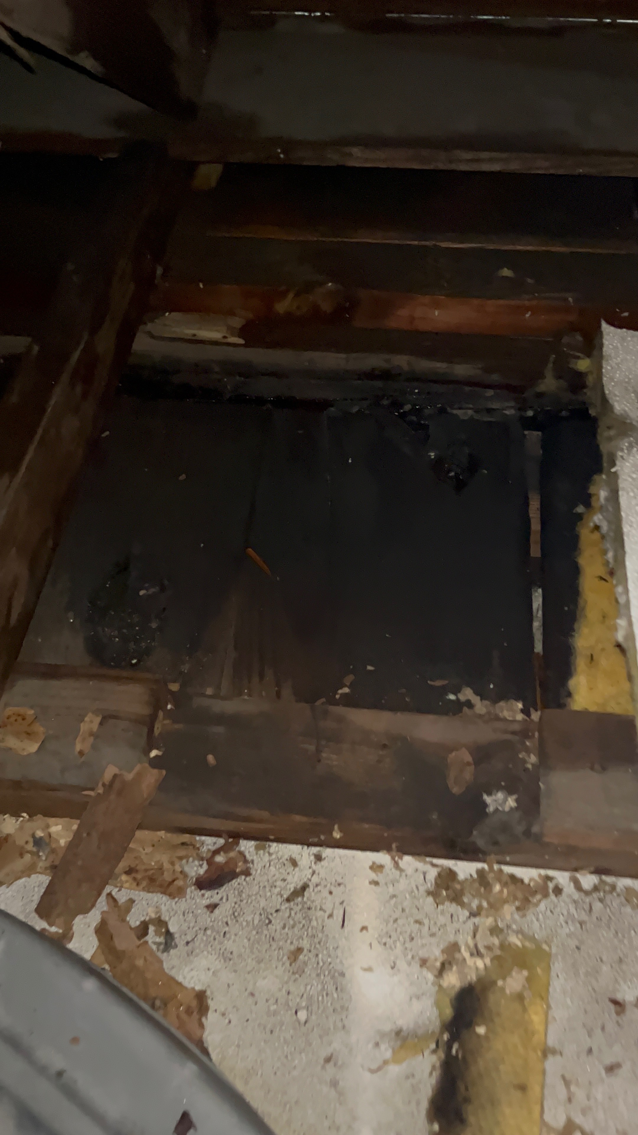 Urgent Help Needed for Teacher's Damaged Home campaign photo, 4 of 5