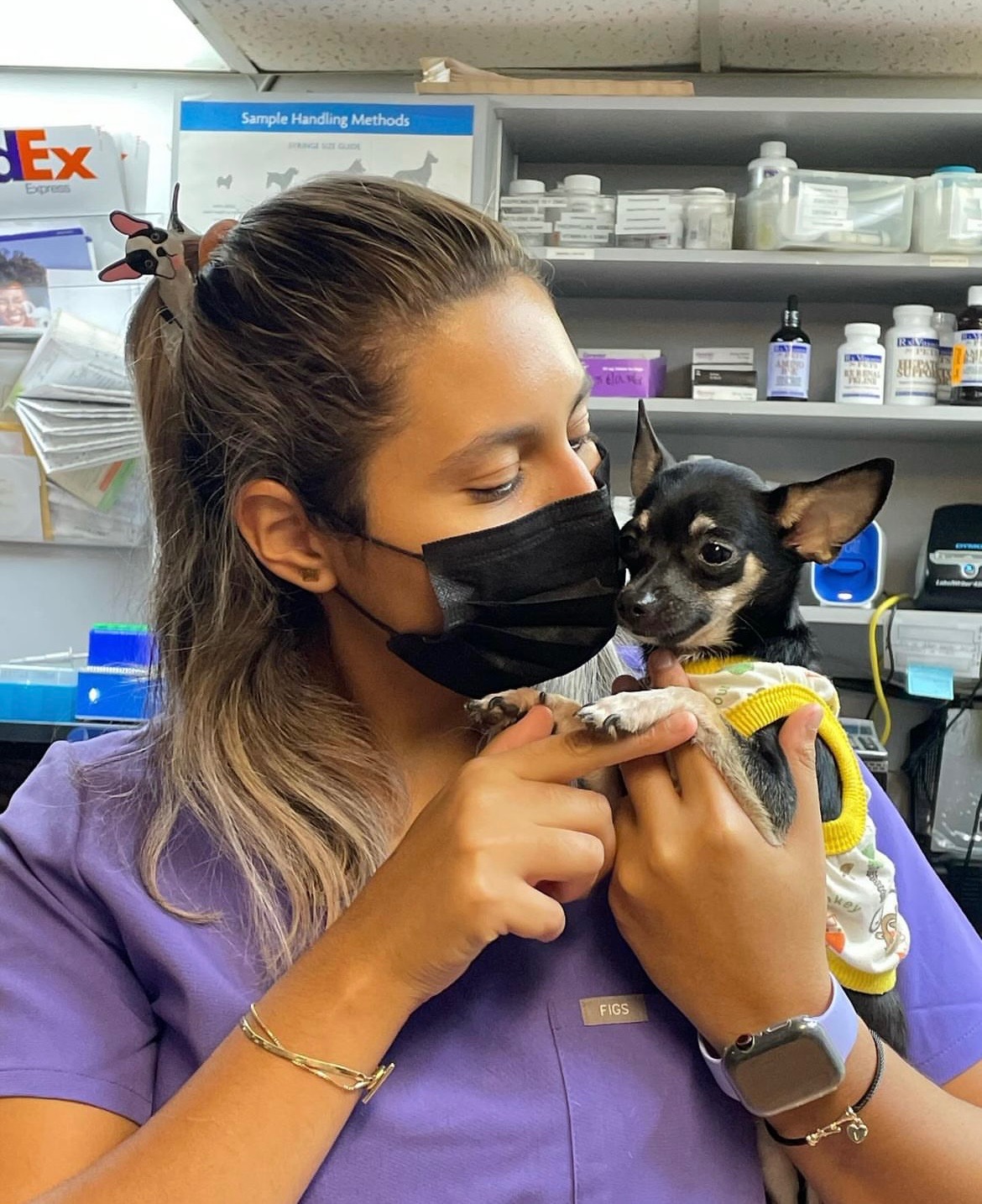✨ Help Me Study Abroad & Keep Saving Animals! campaign photo, 6 of 7