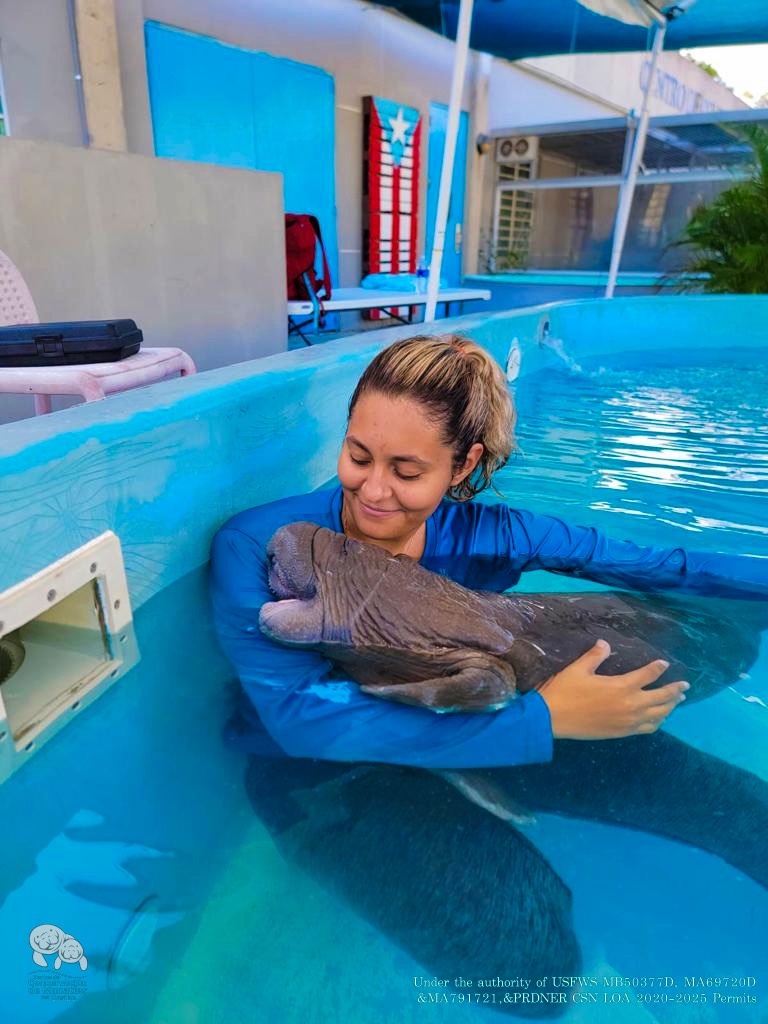 ✨ Help Me Study Abroad & Keep Saving Animals! campaign photo, 2 of 7