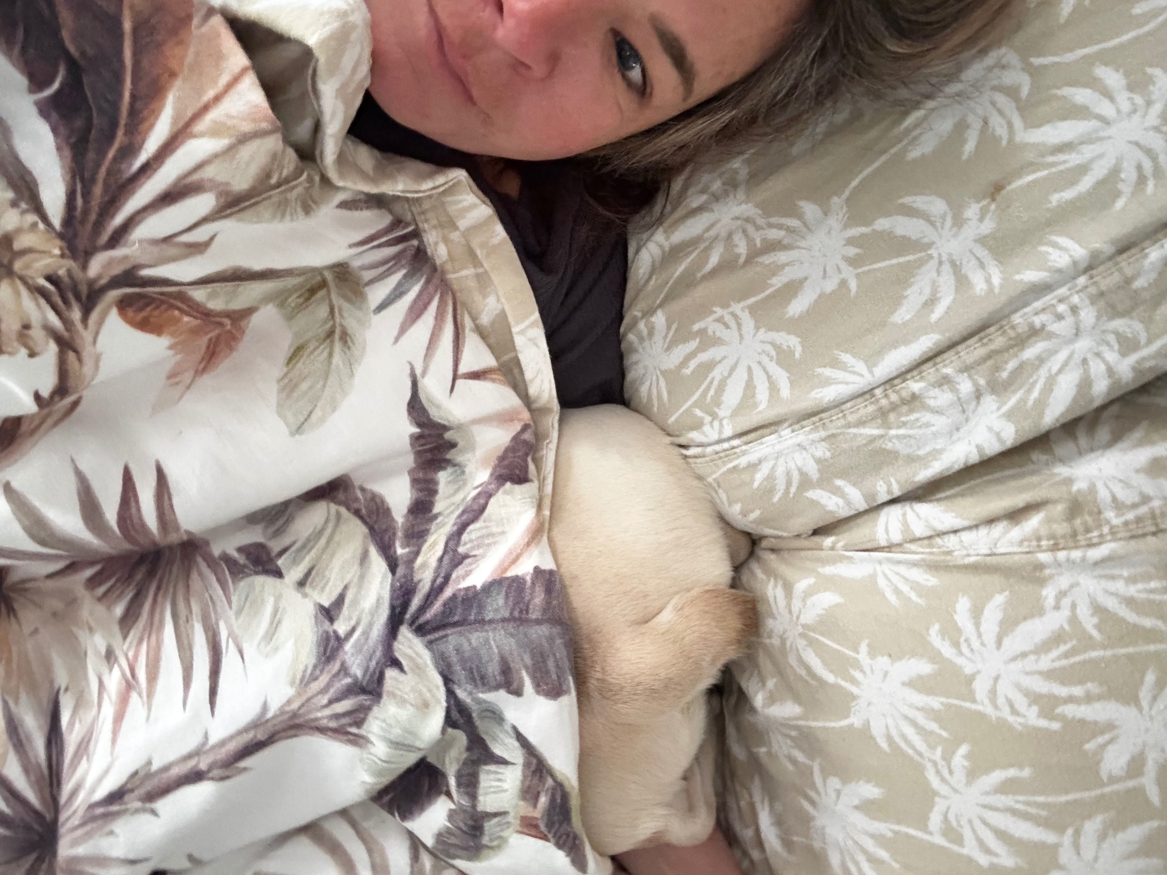 Please help Cashew get life saving surgery campaign photo, 4 of 7