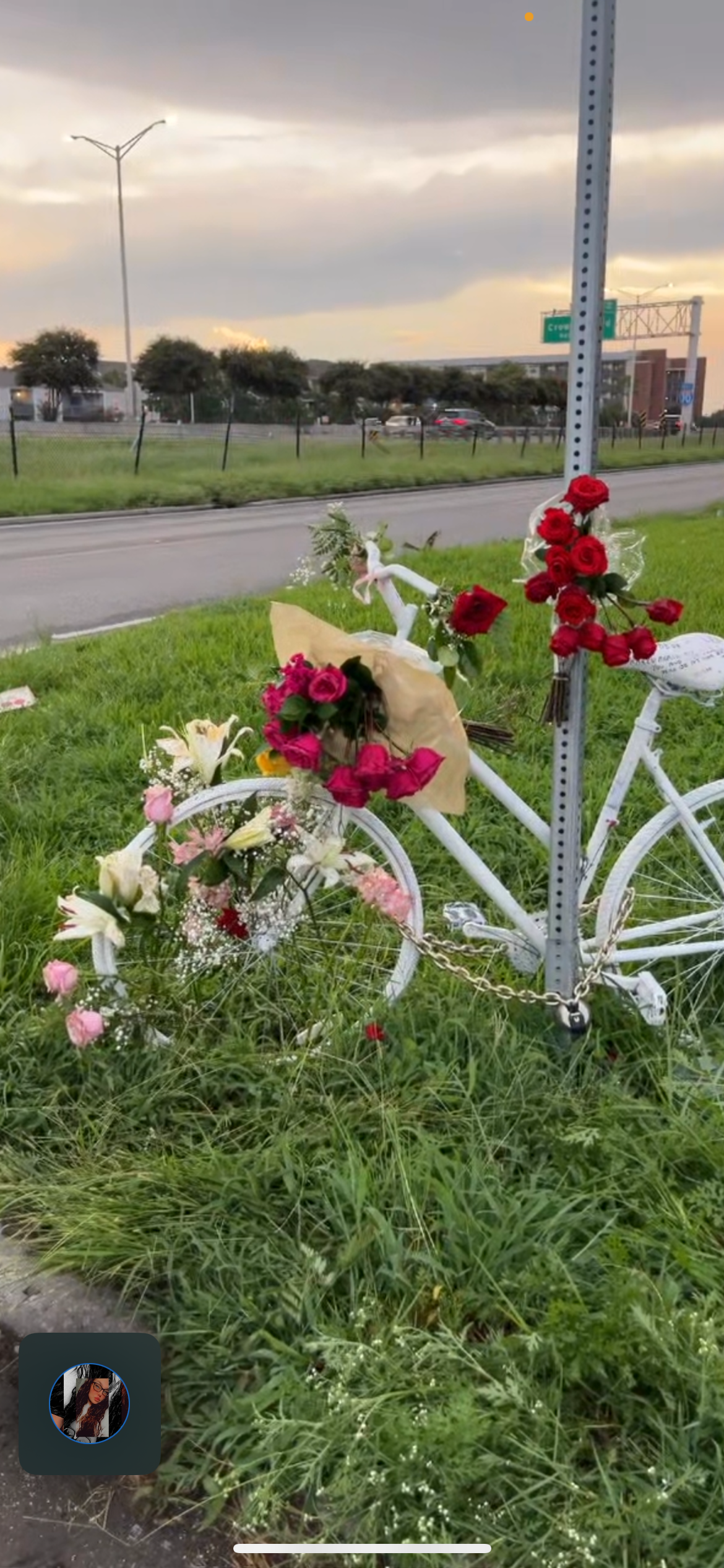 Support Karen's Final Journey Home campaign photo, 5 of 8