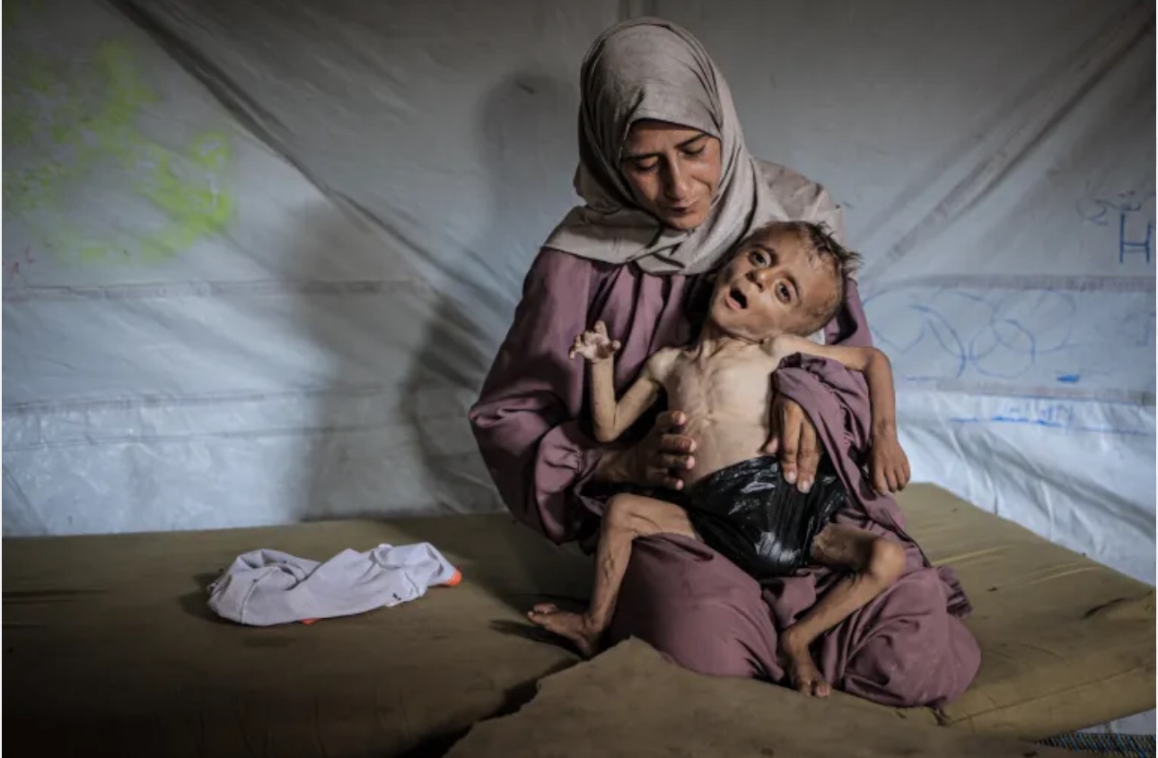 “Urgent Aid for My Family in Gaza” campaign photo, 6 of 8