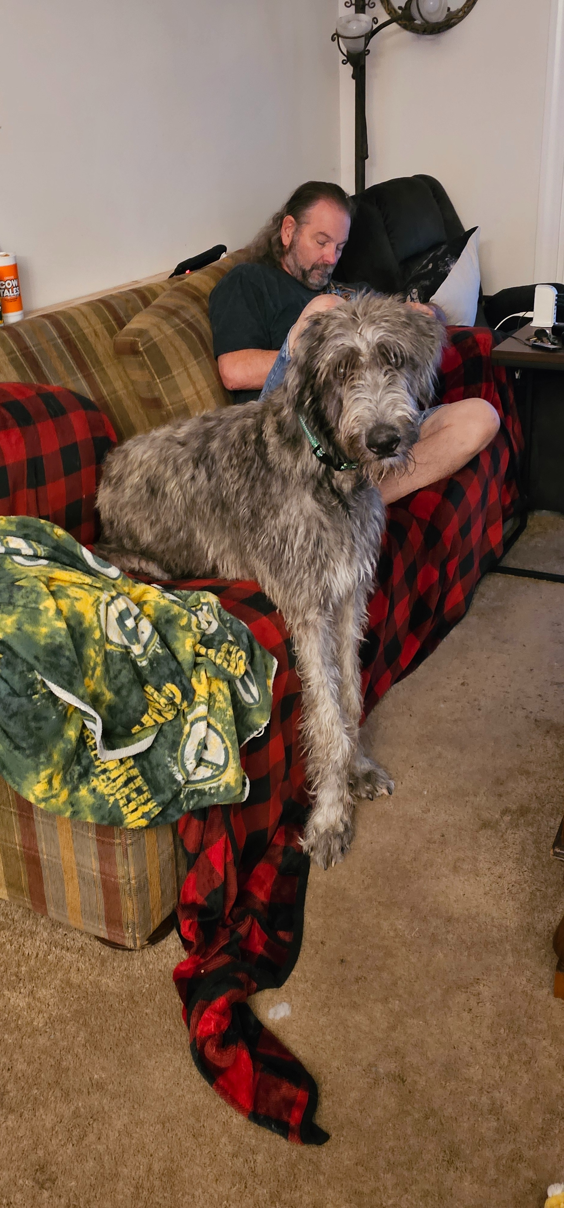 Declan's service dog training cost at  Canine Angels' campaign photo, 2 of 6