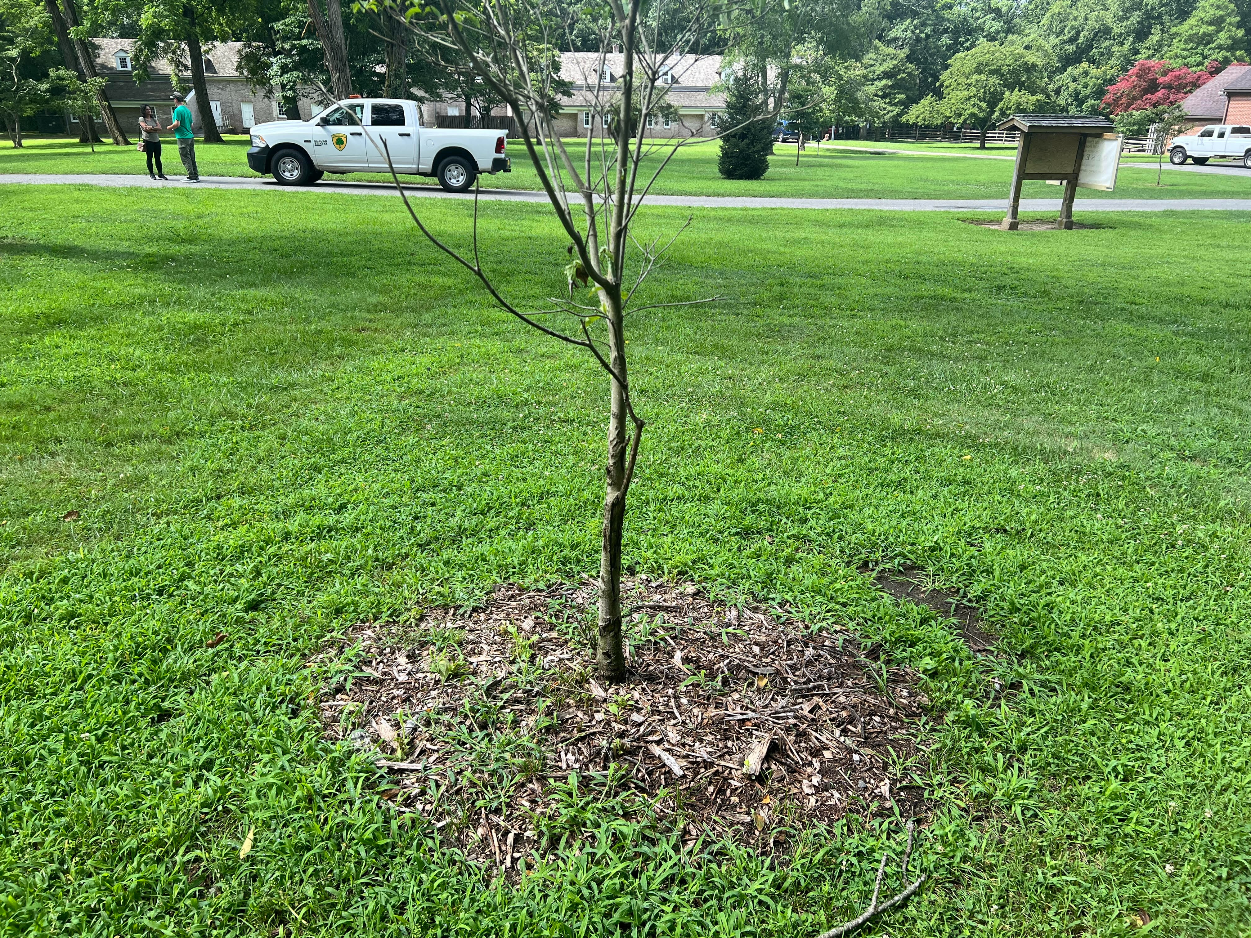 Restore Allaire State Park's Trees and Picnic Tables campaign photo, 6 of 7