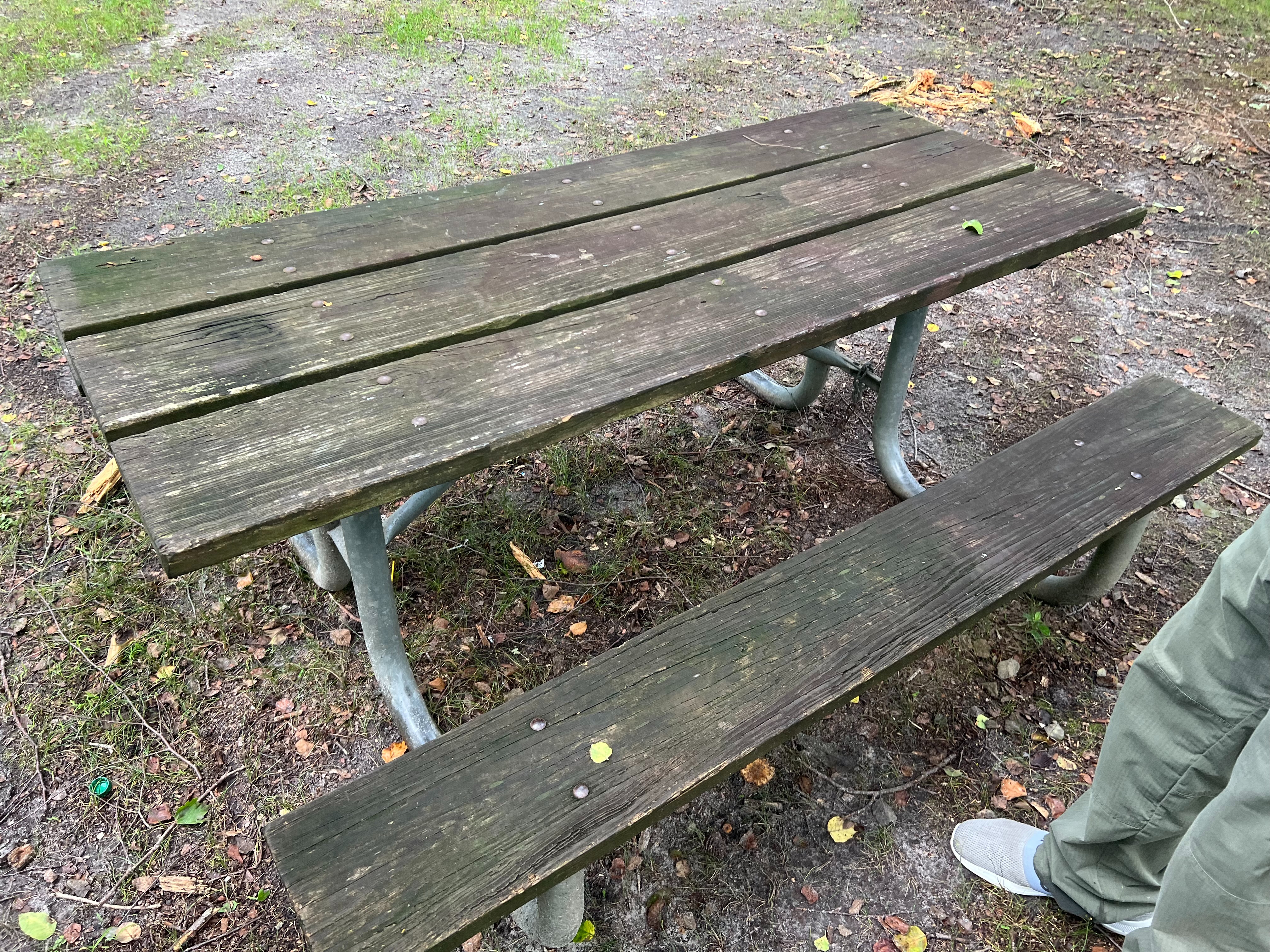 Restore Allaire State Park's Trees and Picnic Tables campaign photo, 2 of 7