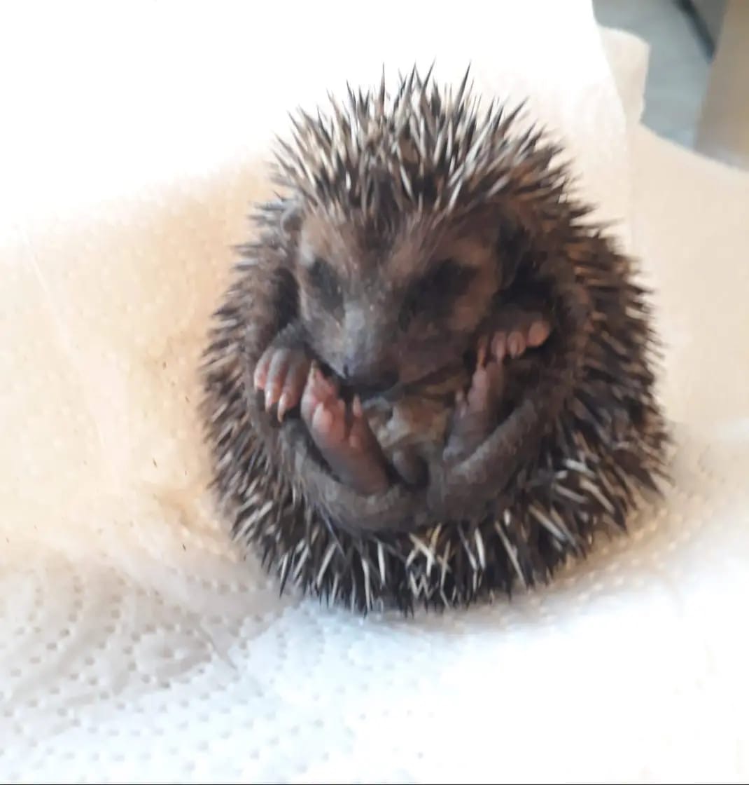 User-uploaded image 1