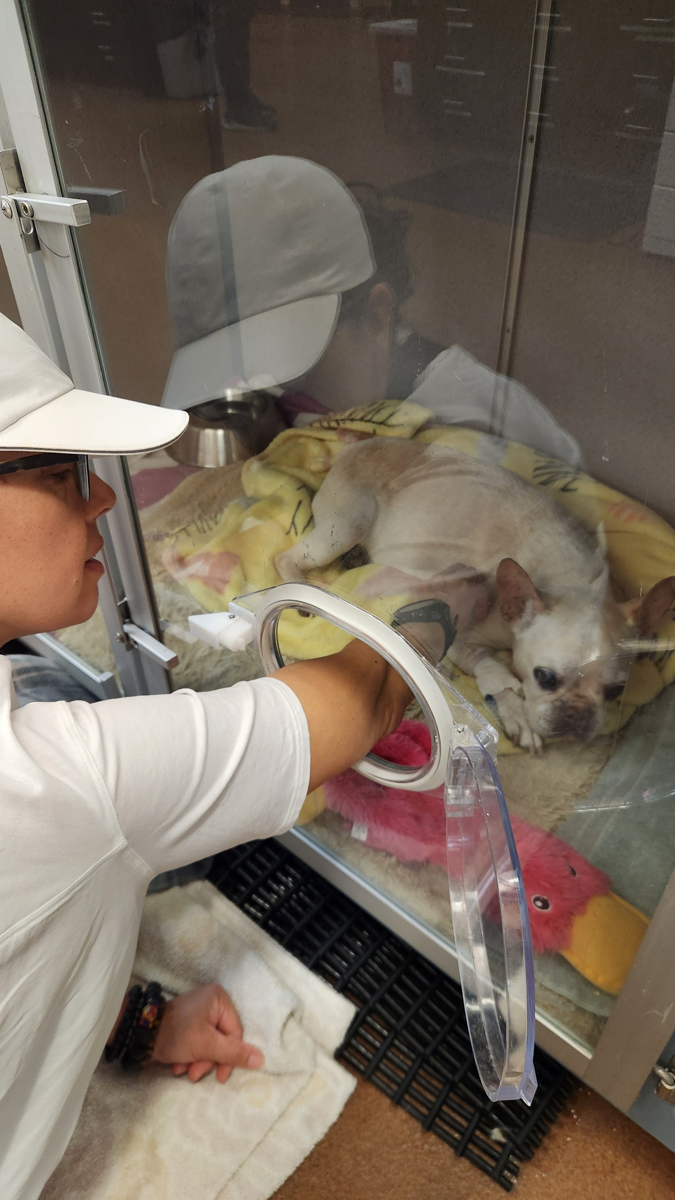 Give Lola Franchesca a Fighting Chance campaign photo, 2 of 8