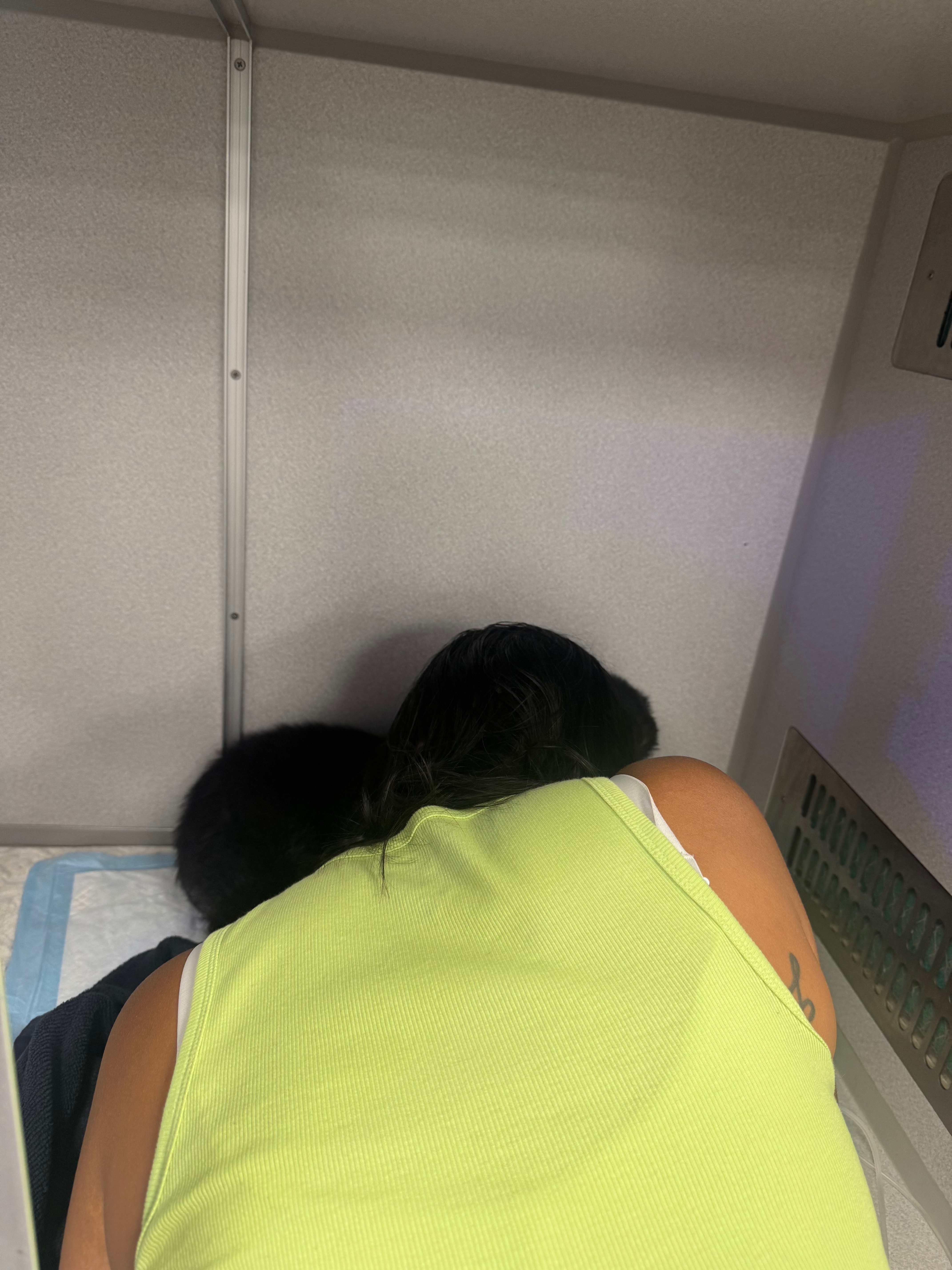 Help support Bentleys emergency vet bill!!! campaign photo, 6 of 8