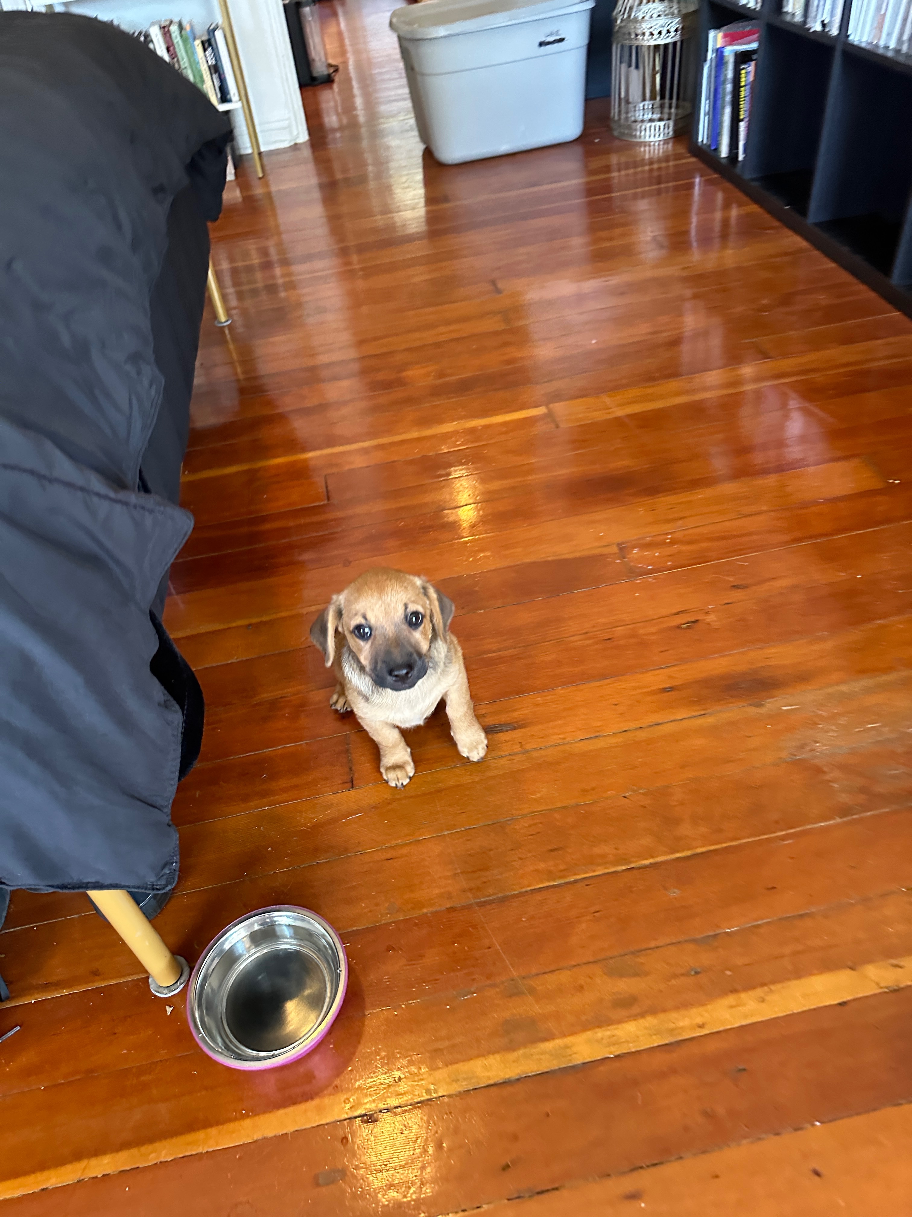 Urgent Aid for Rudy's Medical Expenses campaign photo, 2 of 8