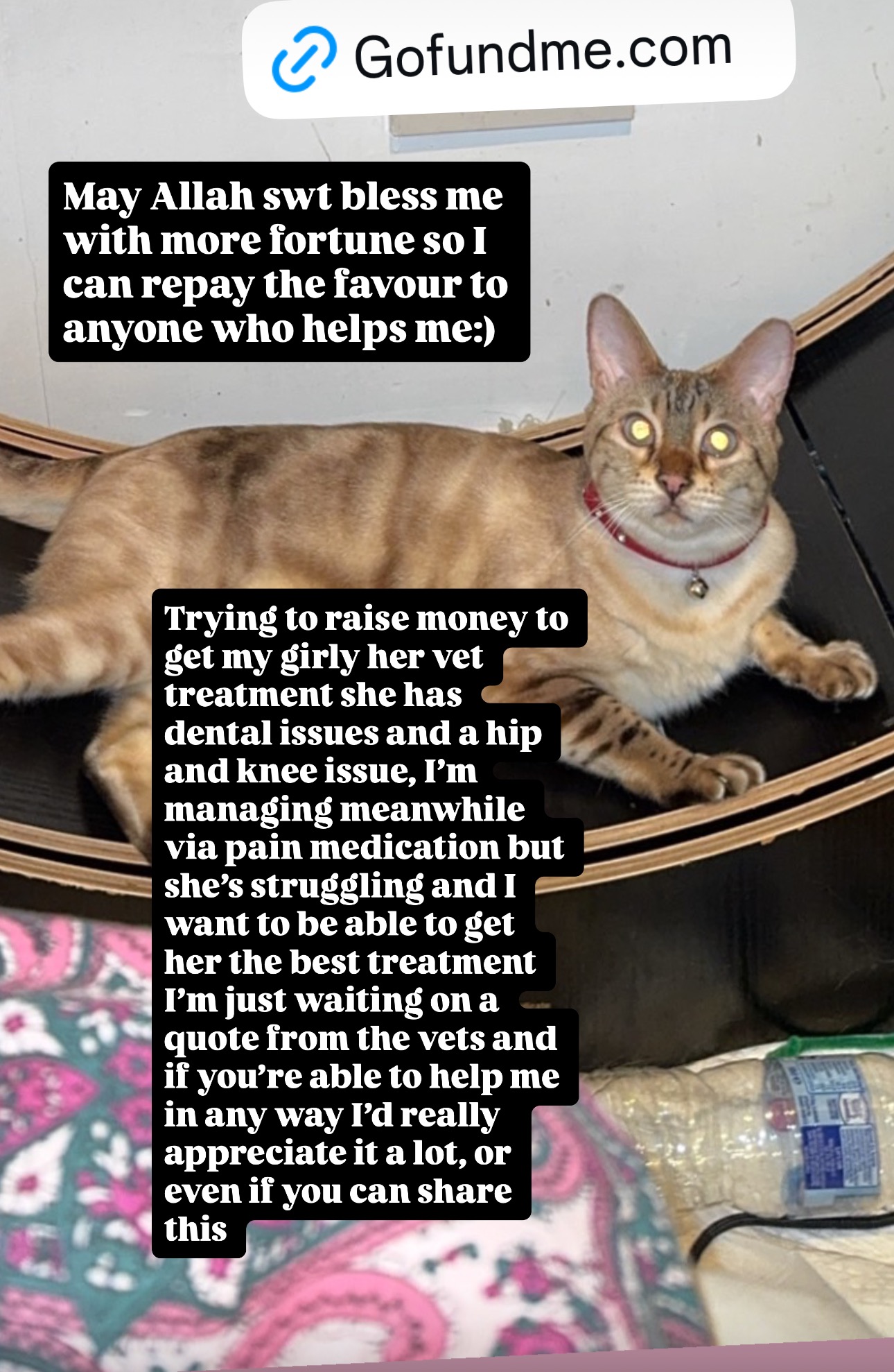 She’s My Family – I Need Your Help campaign photo, 6 of 8