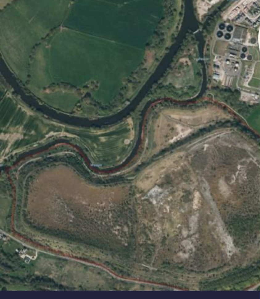 User-uploaded image 1