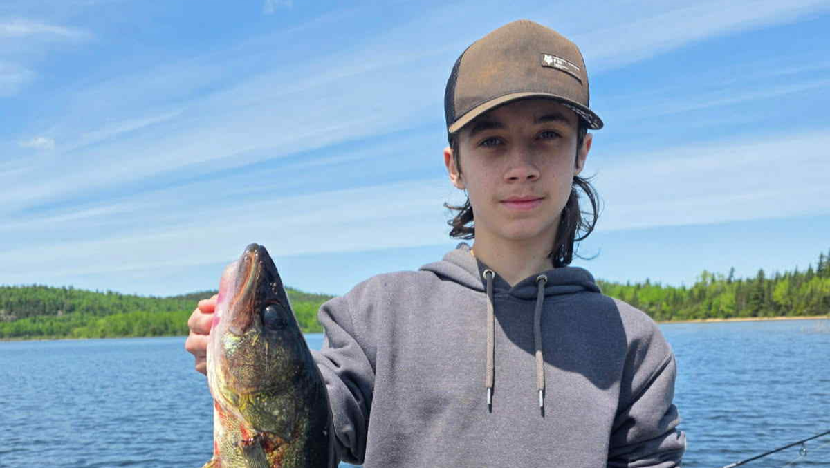 Let's help Louis and family photo