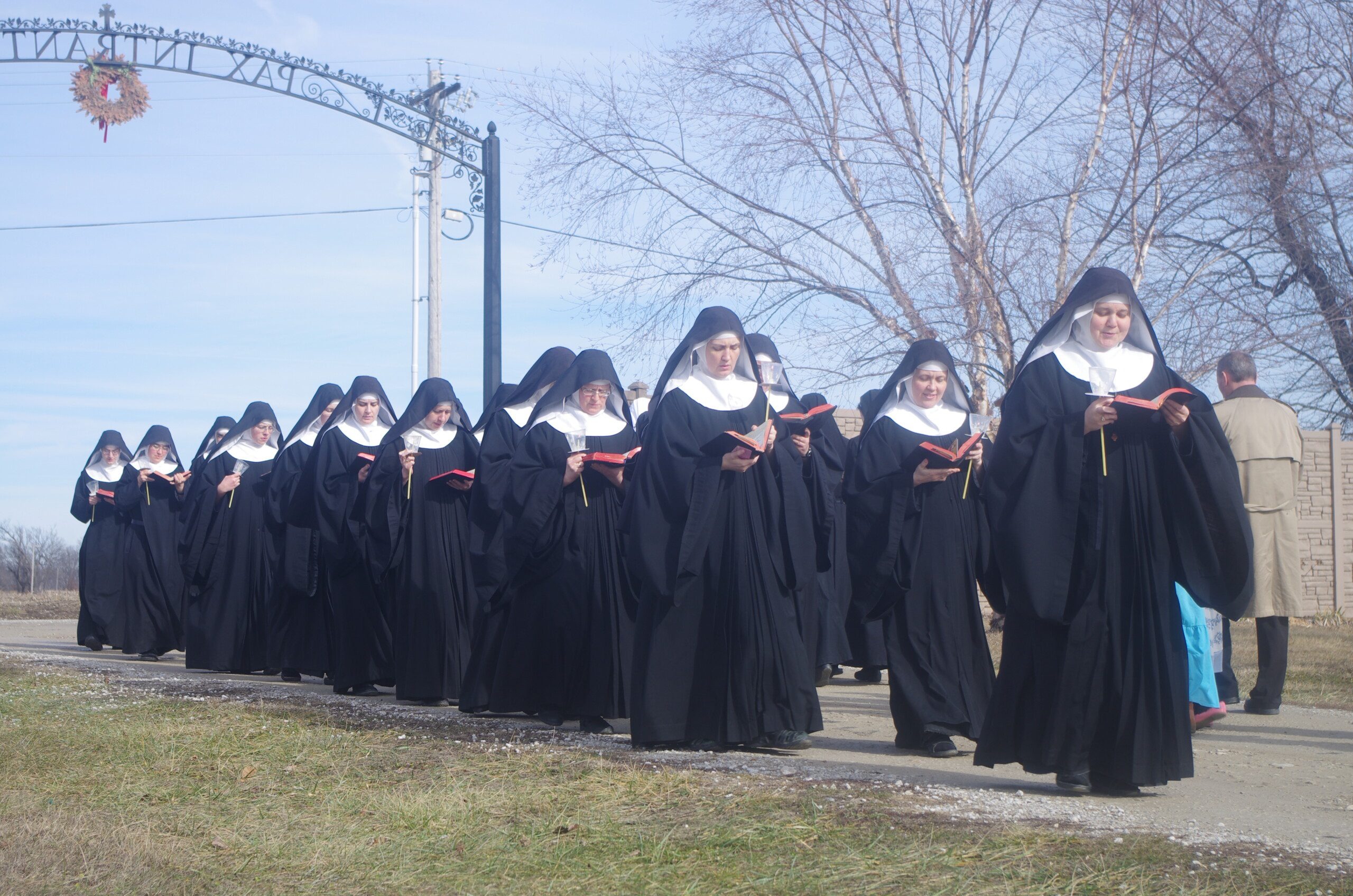 Support Benedictines of Mary Medical Treatment campaign photo, 5 of 6