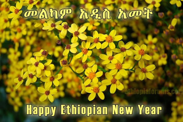 Support Meshualekia Lijoch for 2018 Ethiopian New Year campaign photo, 2 of 3
