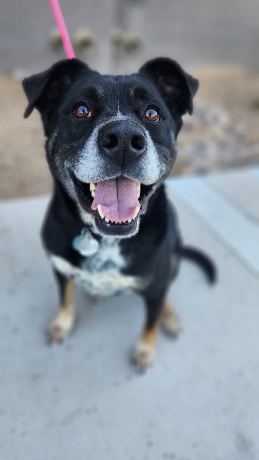 Help Osiris Beat His Seizures campaign photo, 6 of 7