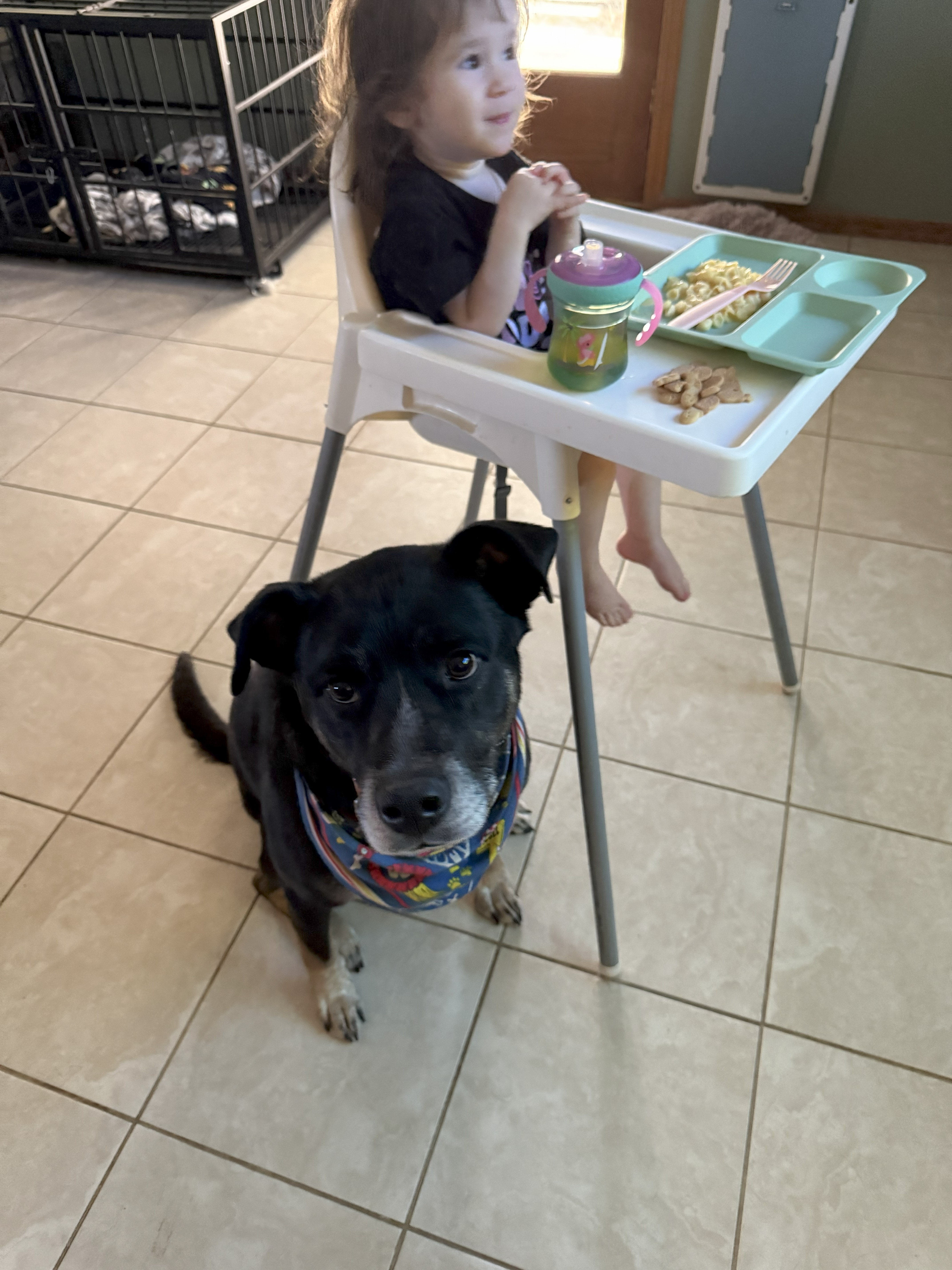 Help Osiris Beat His Seizures campaign photo, 4 of 7