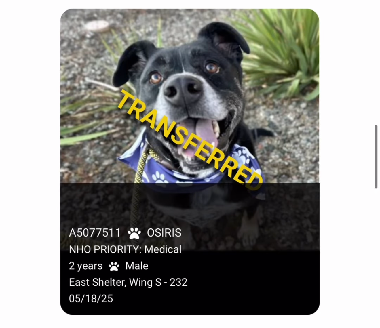 Help Osiris Beat His Seizures campaign photo, 5 of 7