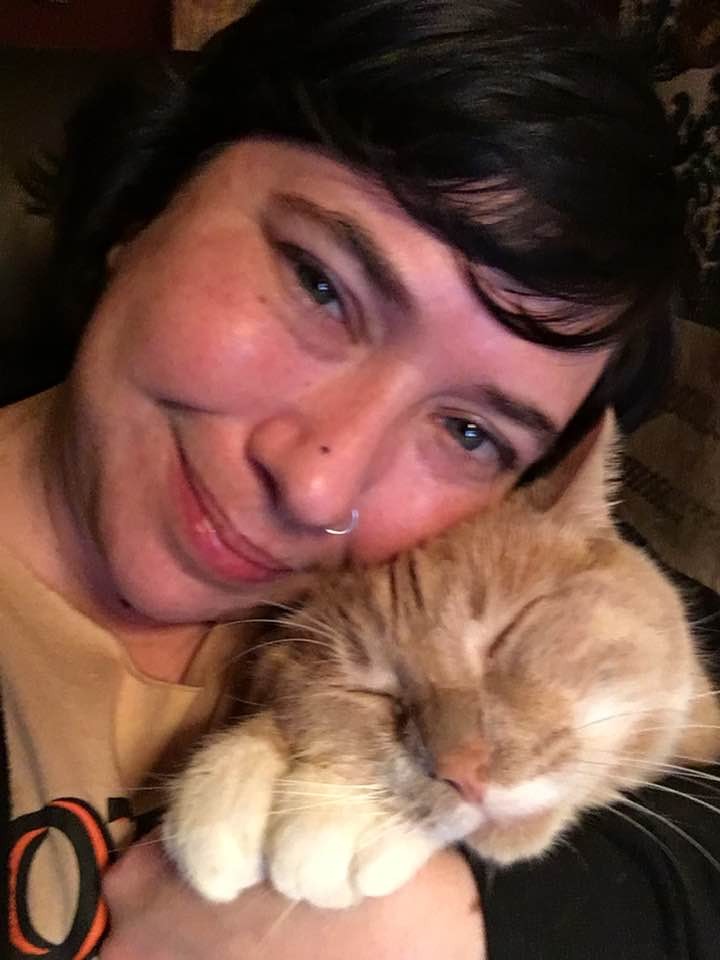 Support Punk Kitty's Dental Surgery campaign photo, 4 of 8
