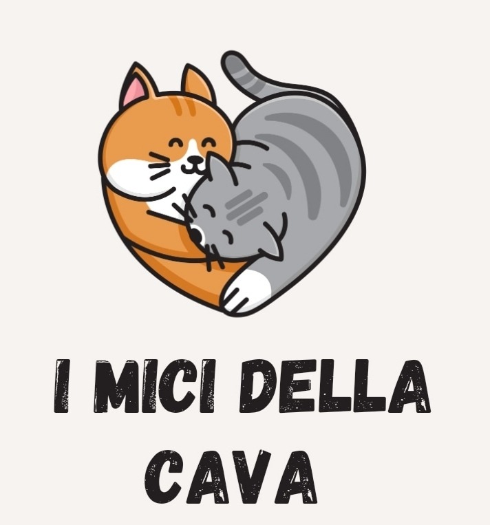 Aiutate "I Mici della Cava" ad avere una recinzione sicura campaign photo, 2 of 4