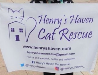 Henry's Haven Cat Rescue - How Many Cats Fundraiser campaign photo, 7 of 8
