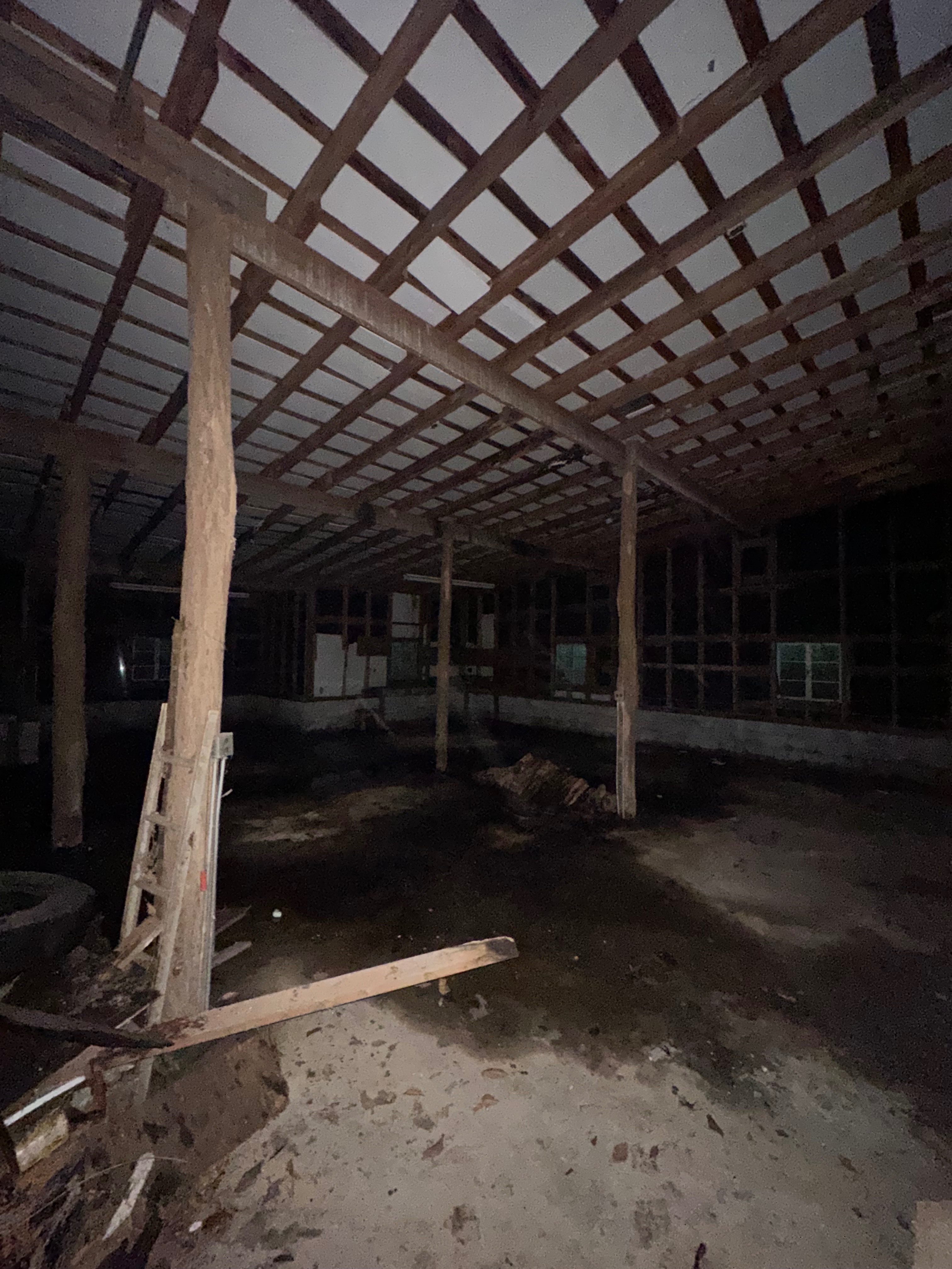 Abandoned Property Restoration campaign photo, 7 of 8