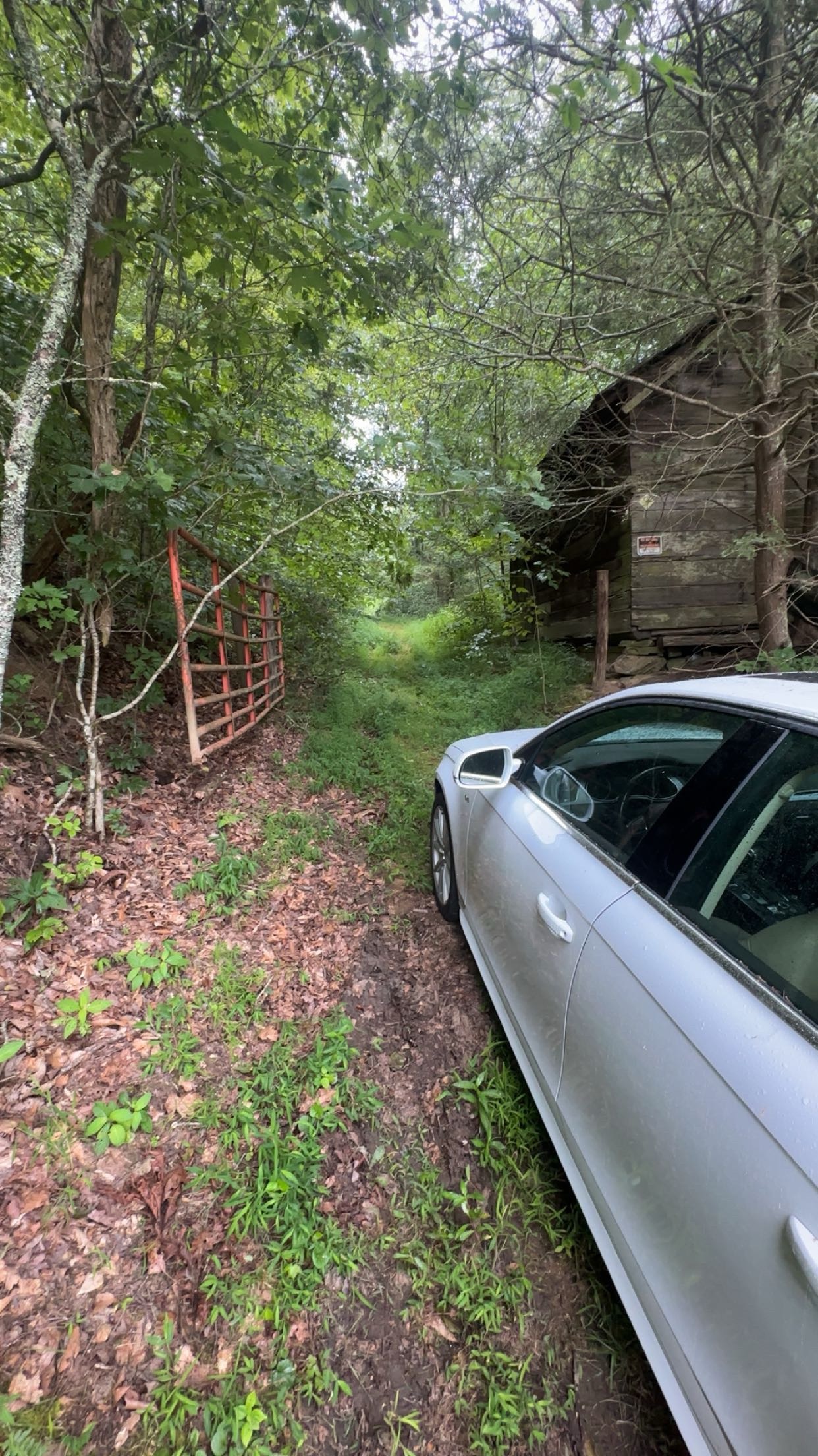 Abandoned Property Restoration campaign photo, 5 of 8