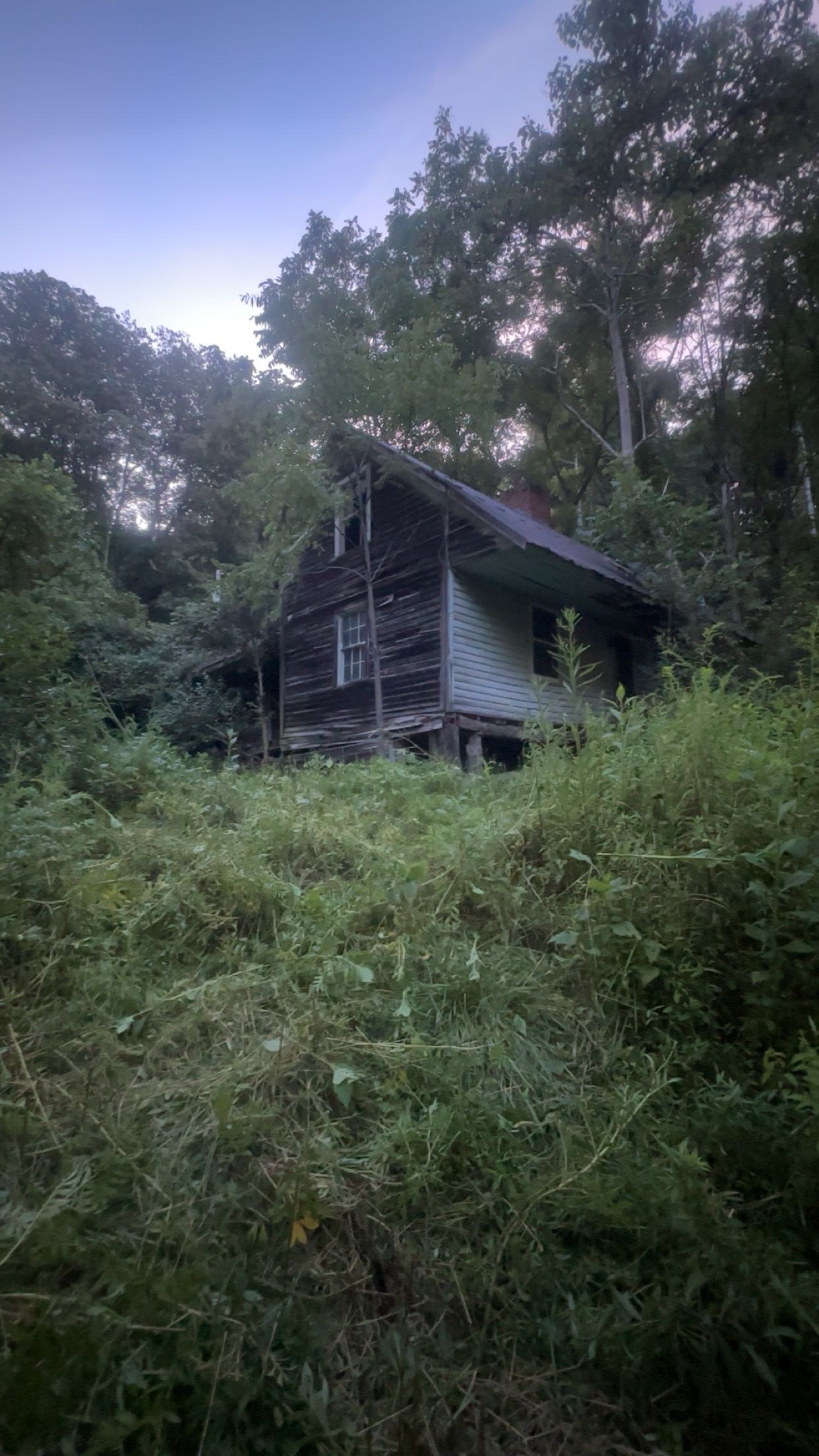 Abandoned Property Restoration campaign photo, 6 of 8
