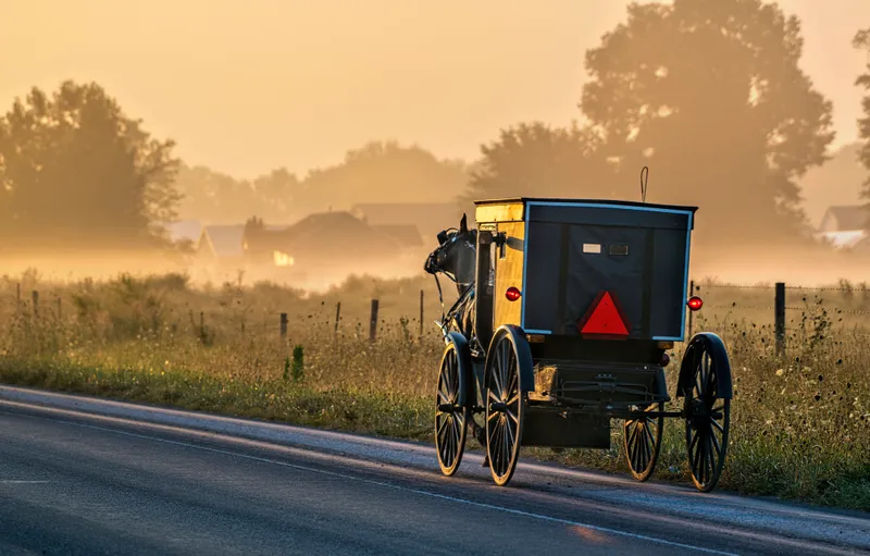 Support Amish Family's Medical Recovery campaign photo, 2 of 4
